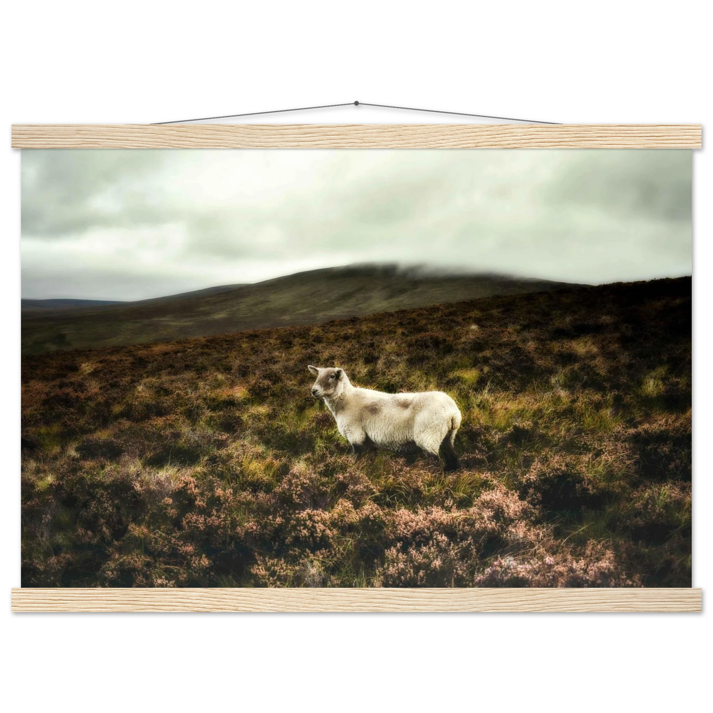 02c4c687-1681-4907-849c-e5396ba2d753