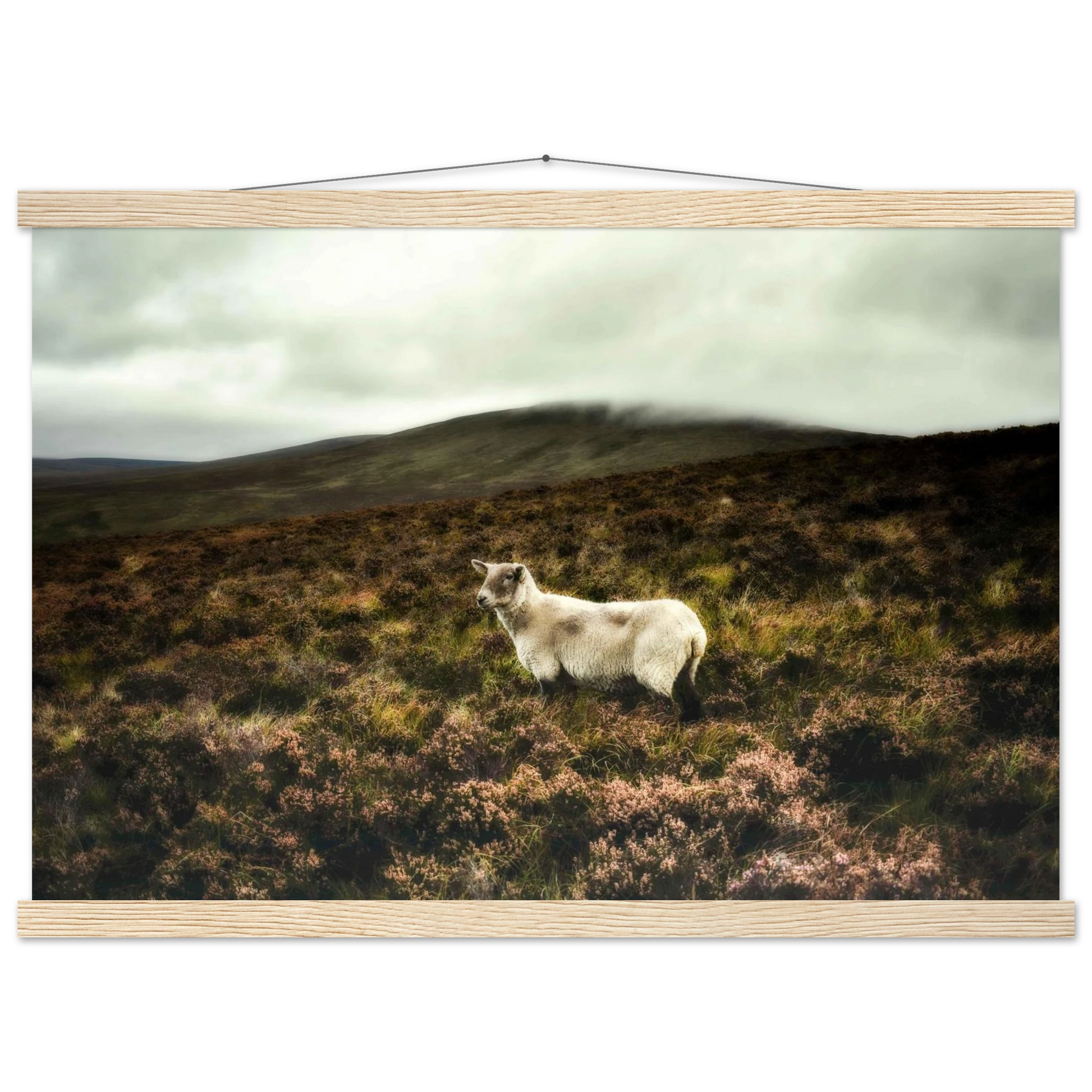 02c4c687-1681-4907-849c-e5396ba2d753