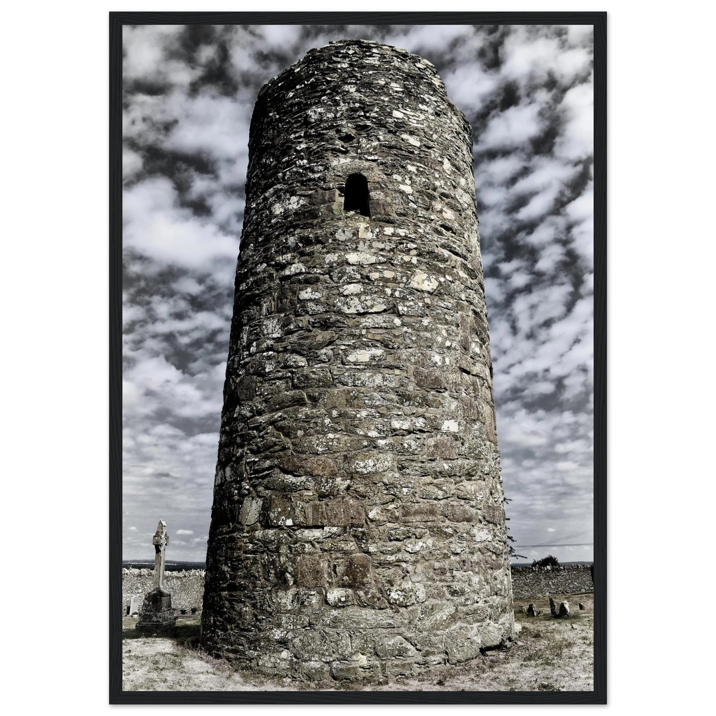 02c6468e-b35a-42b9-81c6-b631bd27ea24