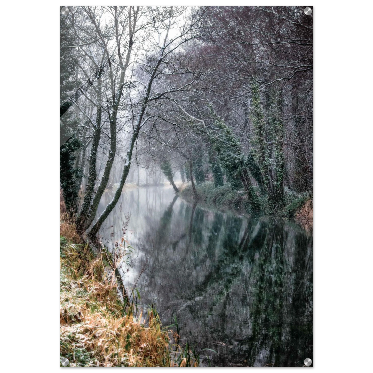 03310b56-c927-4d91-9936-b7ac4c7c558f