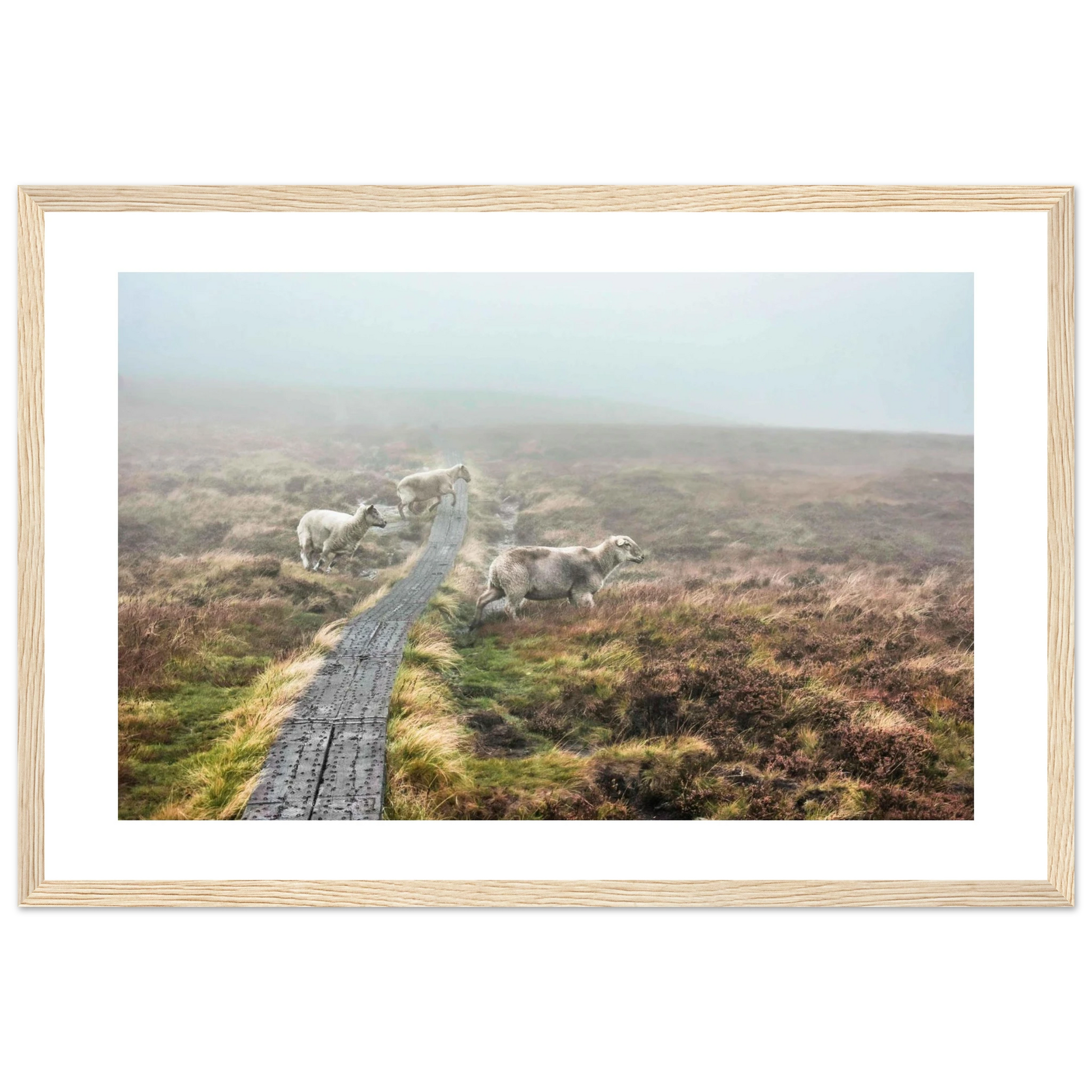 0343248b-9b89-4e63-9335-d4660da81d83