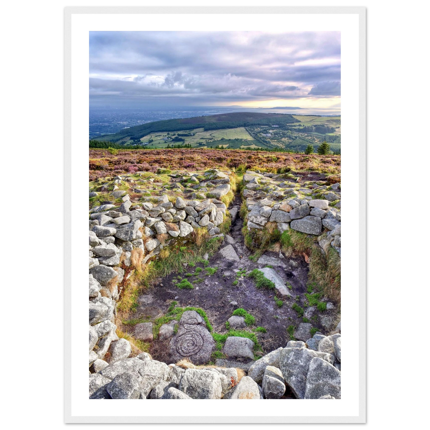 03597238-f88d-44b4-8e55-8c17f9394faa