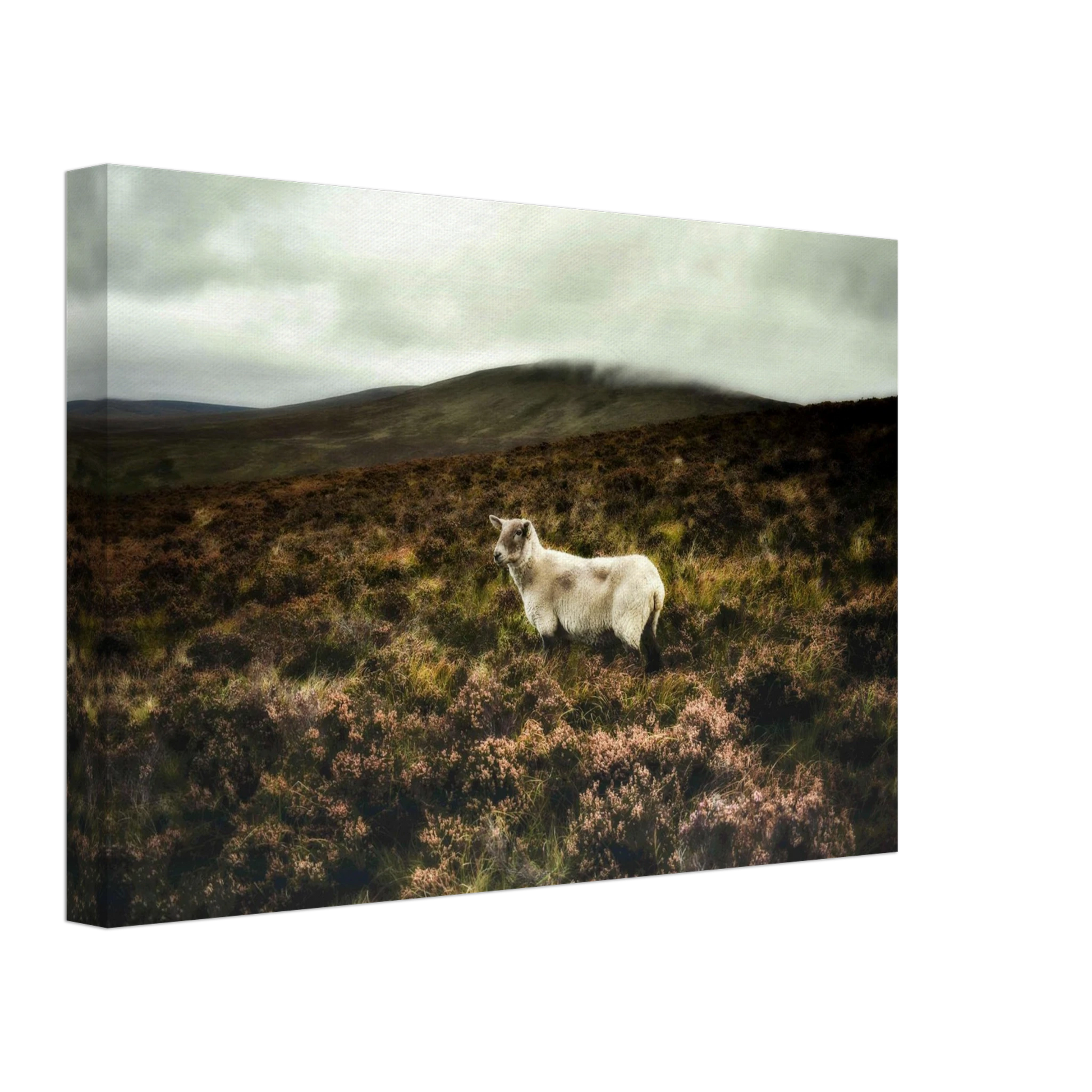 036fa4ca-3d4b-4ec9-8cba-f27255208350