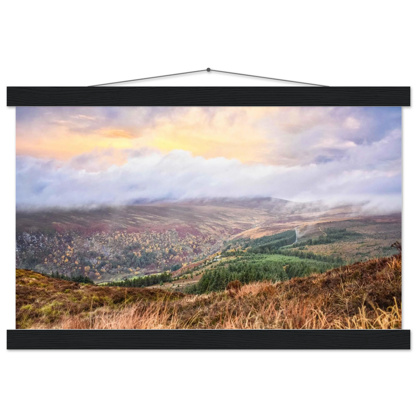 03978422-3f8f-4926-a172-a72fb1068416