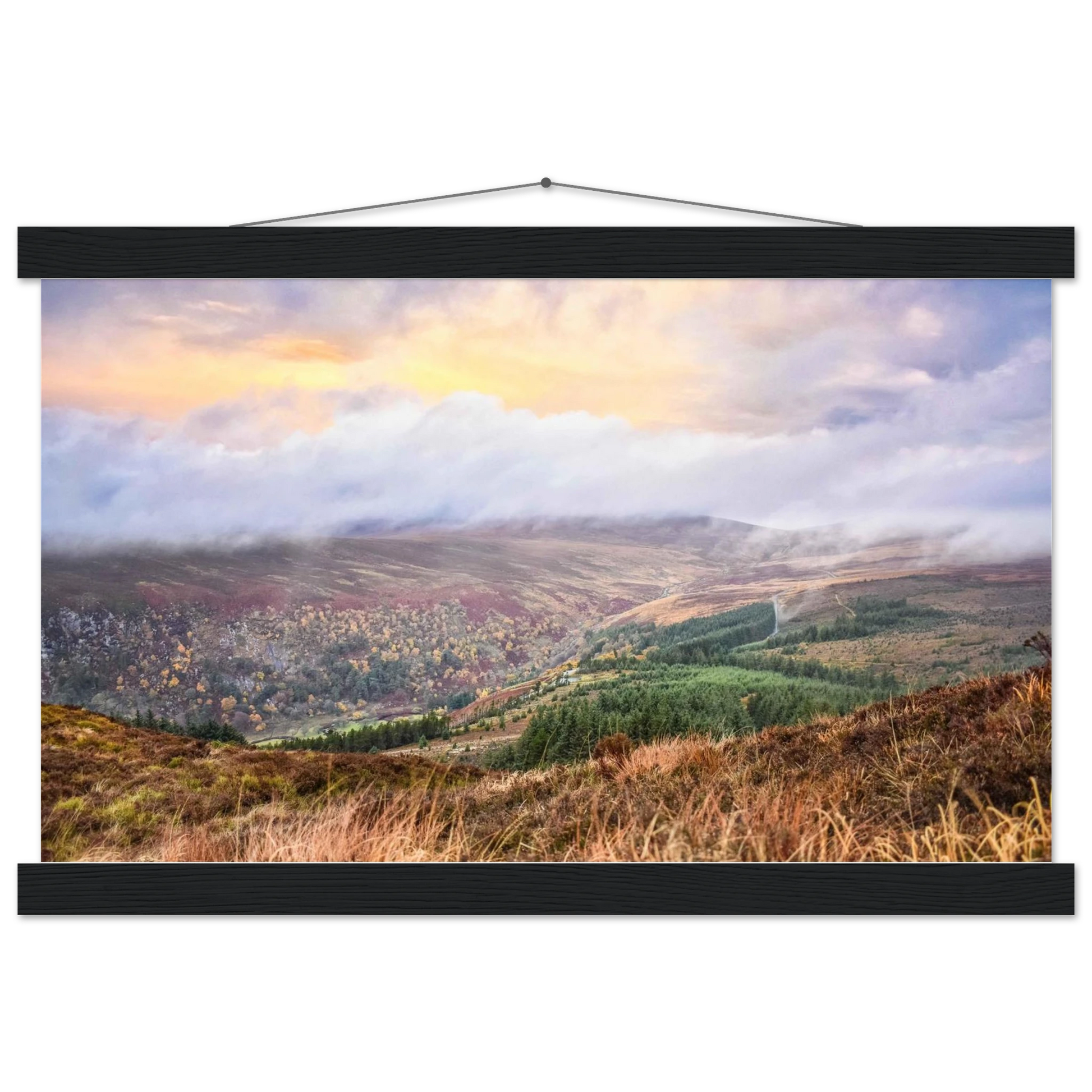 03978422-3f8f-4926-a172-a72fb1068416