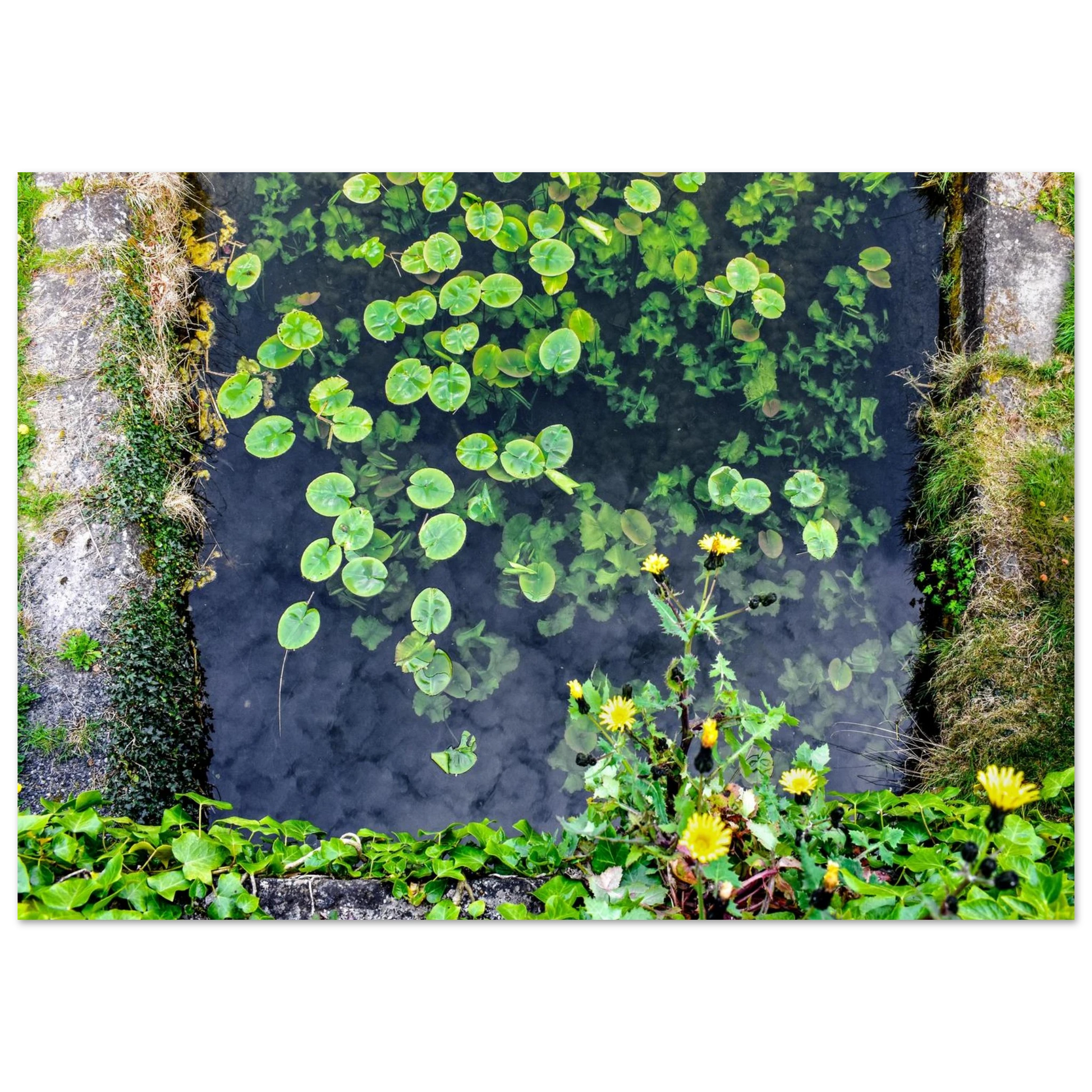 039a717b-60c5-491f-a0b9-e175bb5bf250