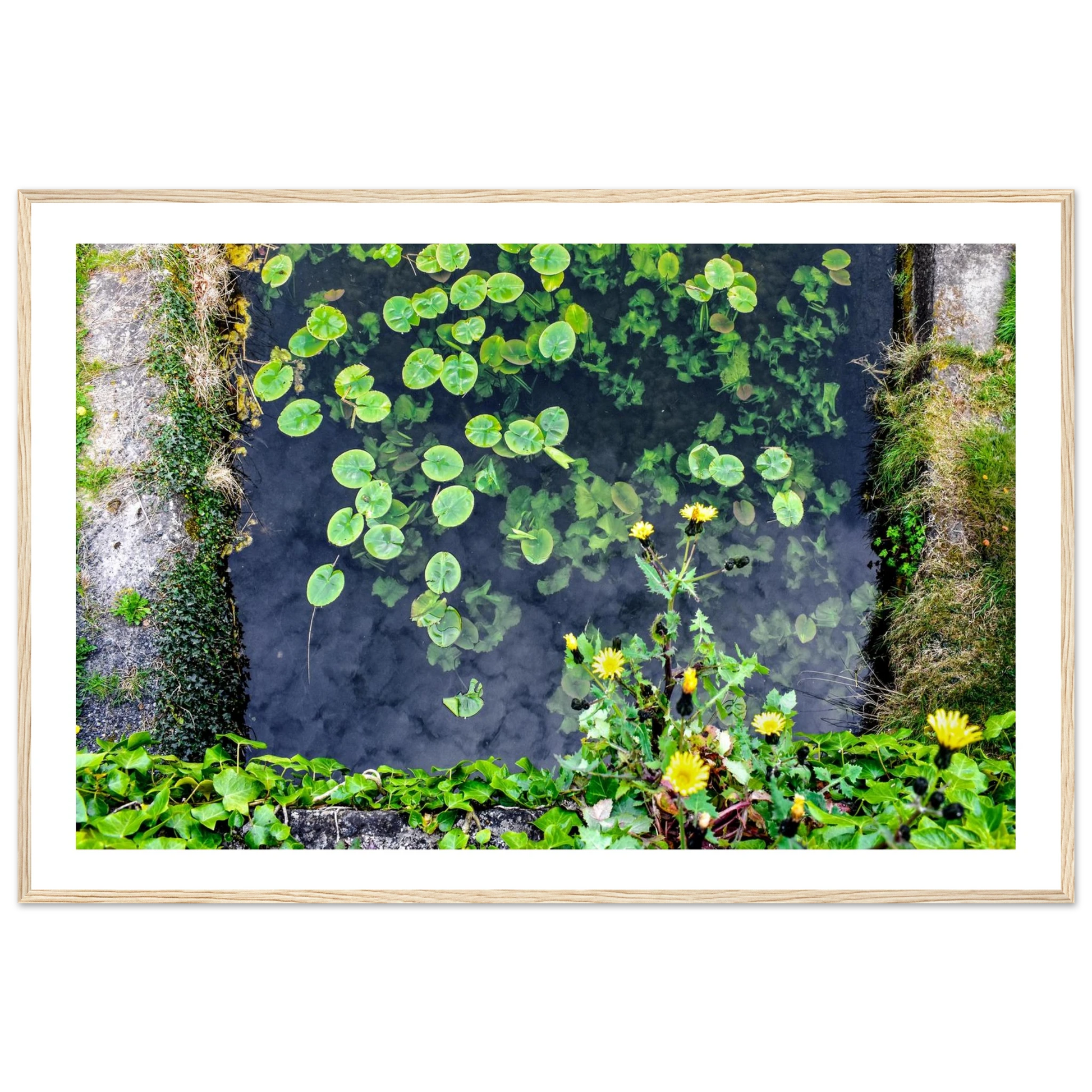 04e0e921-5372-44e0-80f4-71b7e644f7f8