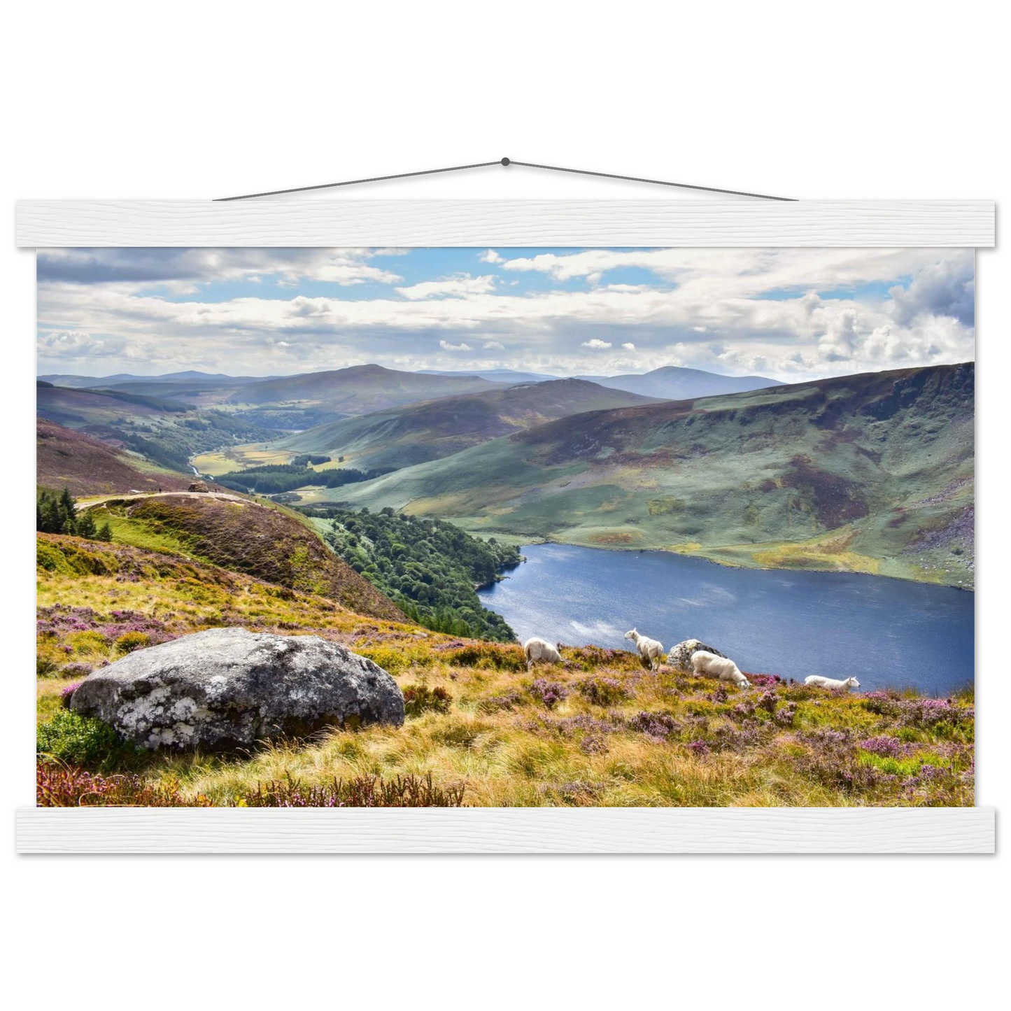 04ec3945-251a-4619-a113-28cf5388f235