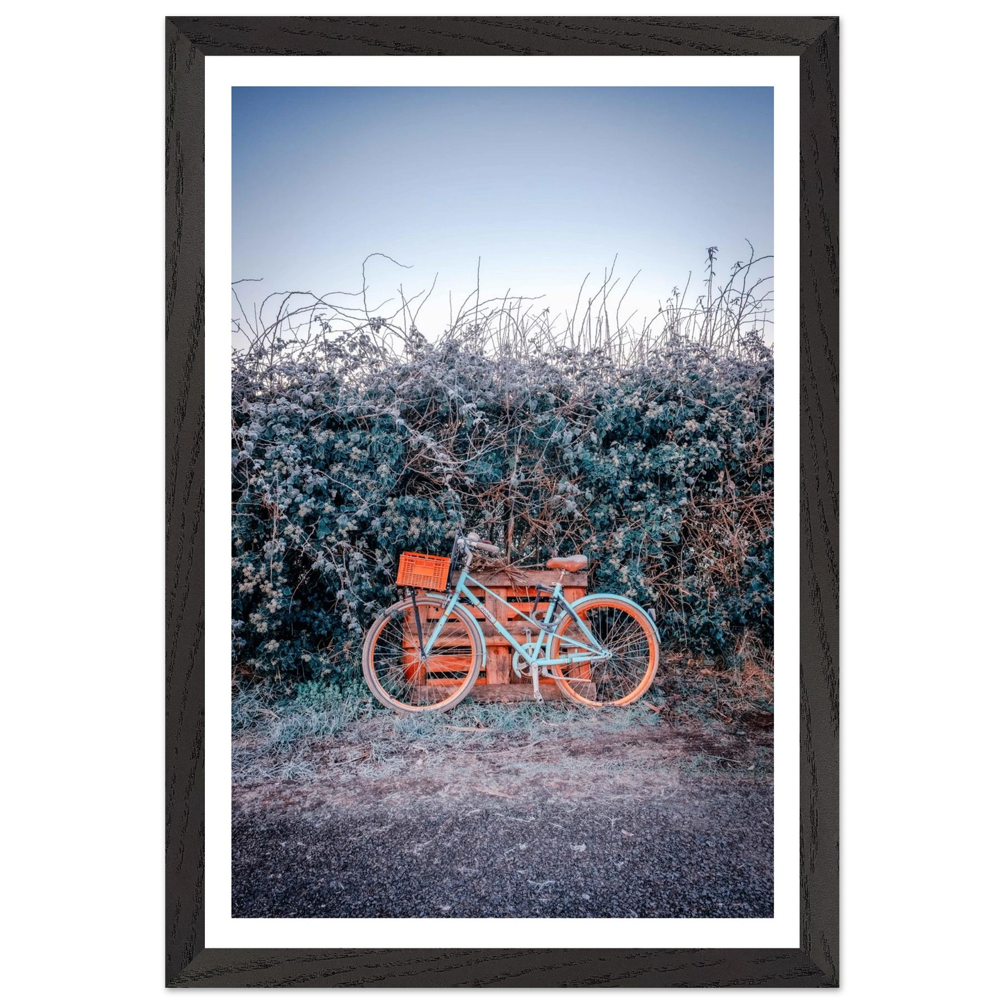 053951f1-2bda-498c-bb2e-9fa806381535