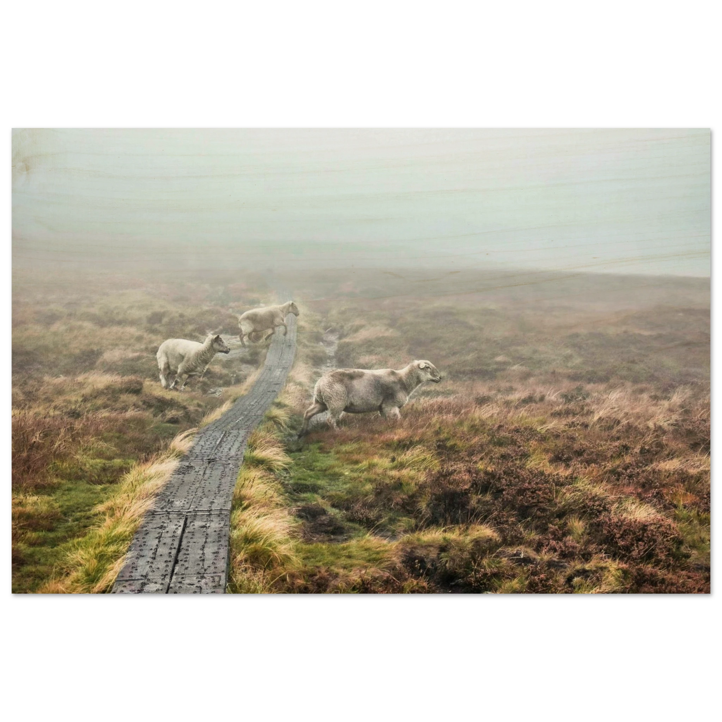 057c455f-2672-4a74-aab6-cac7f9d52f6f