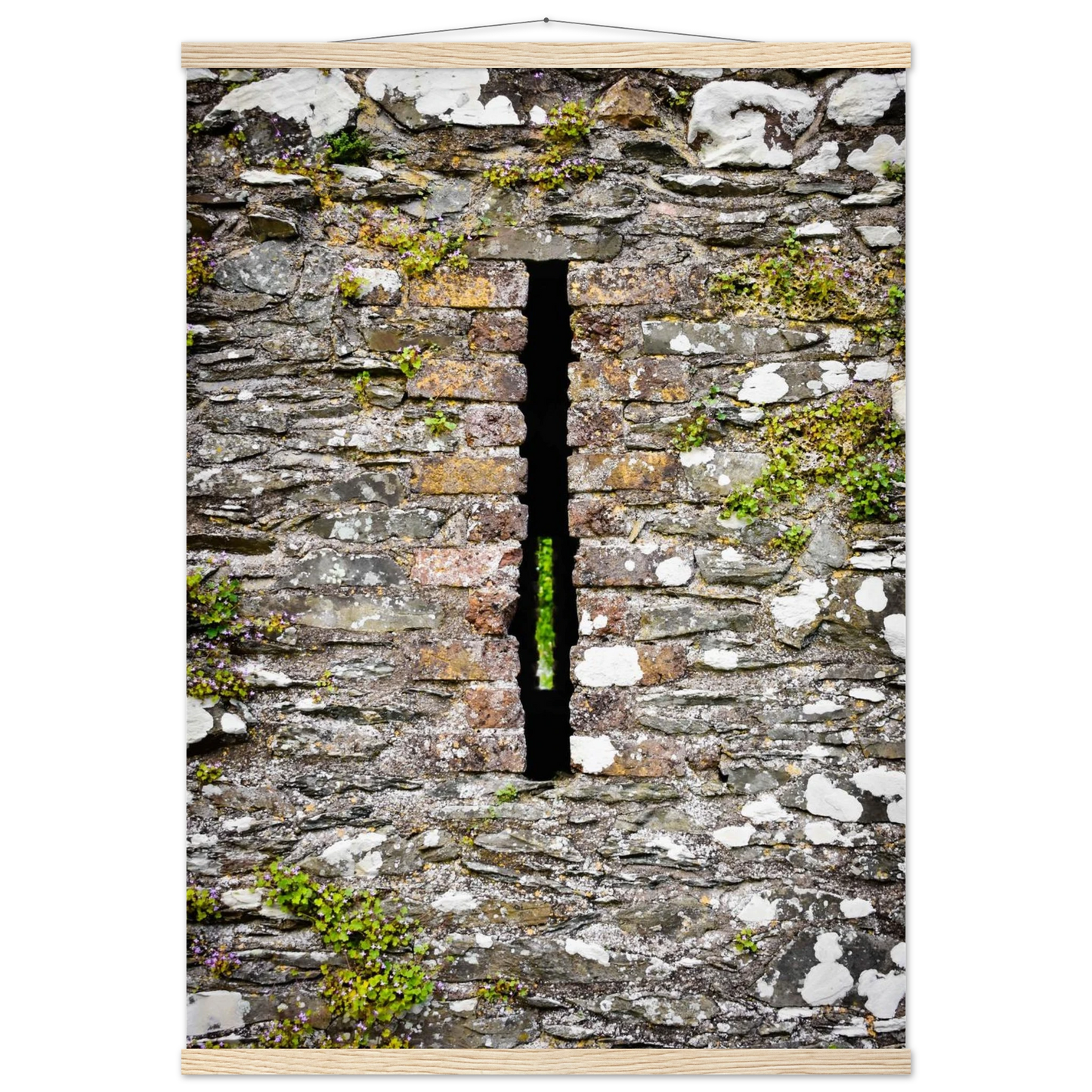 05bb42b7-a11b-478e-b908-de7417f9e363