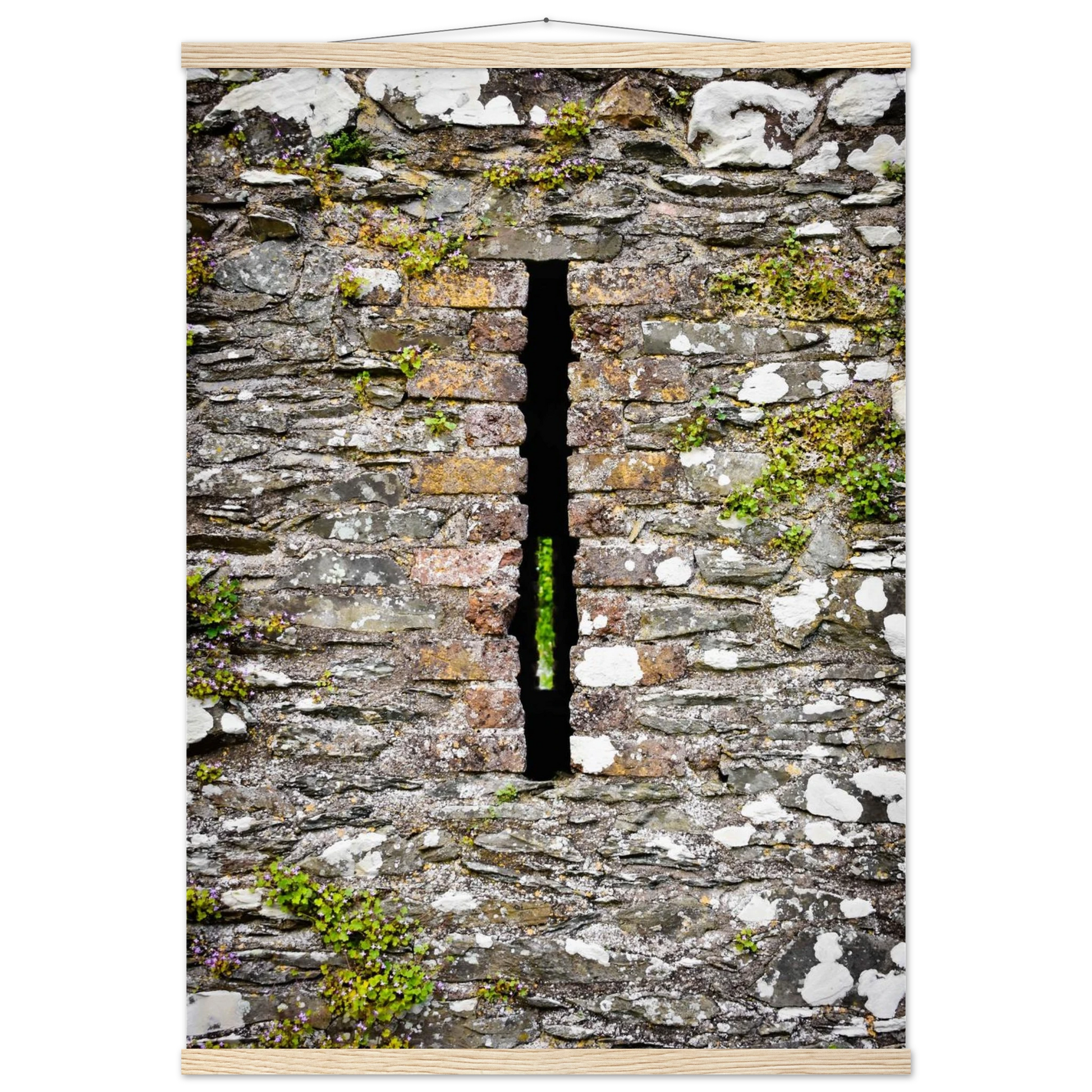 05bb42b7-a11b-478e-b908-de7417f9e363