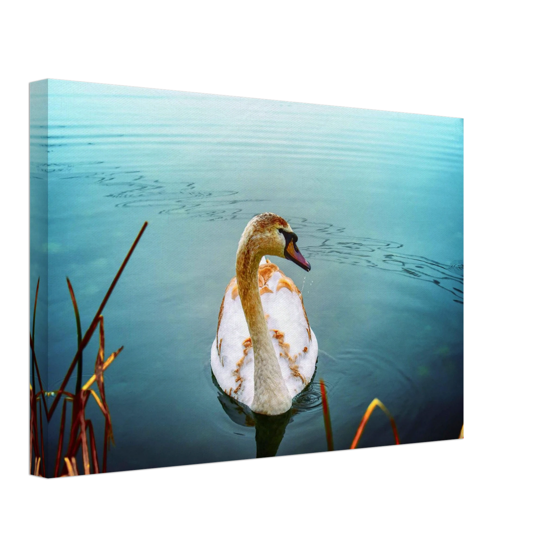 05d34050-7d3f-4c77-b063-bbbdade698de