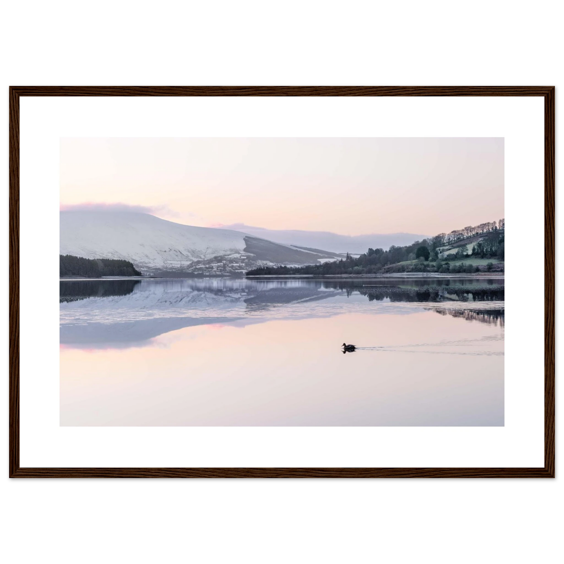 05eb6772-516e-4bc8-952b-e38549e16cf1