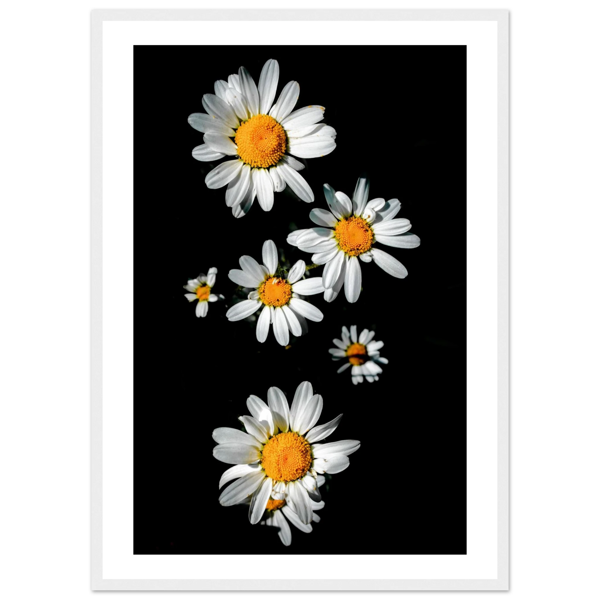 062e8901-f2cb-4b8d-a3bb-a74afb5ba262