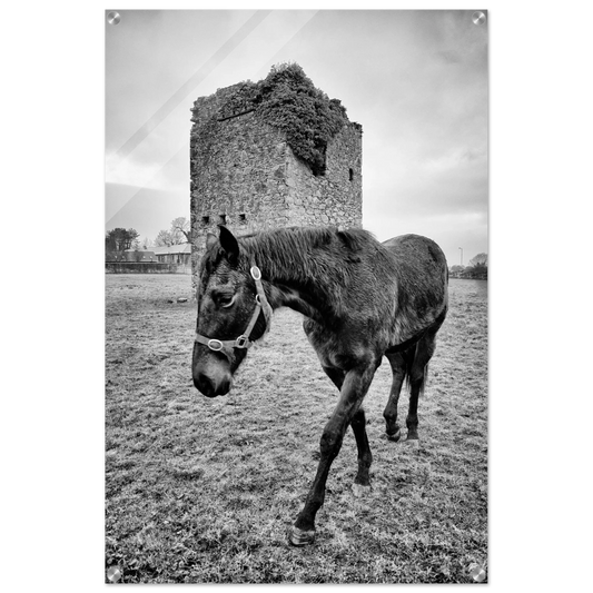 063d1bb7-d2d2-4cb7-907b-d897f3ed4609