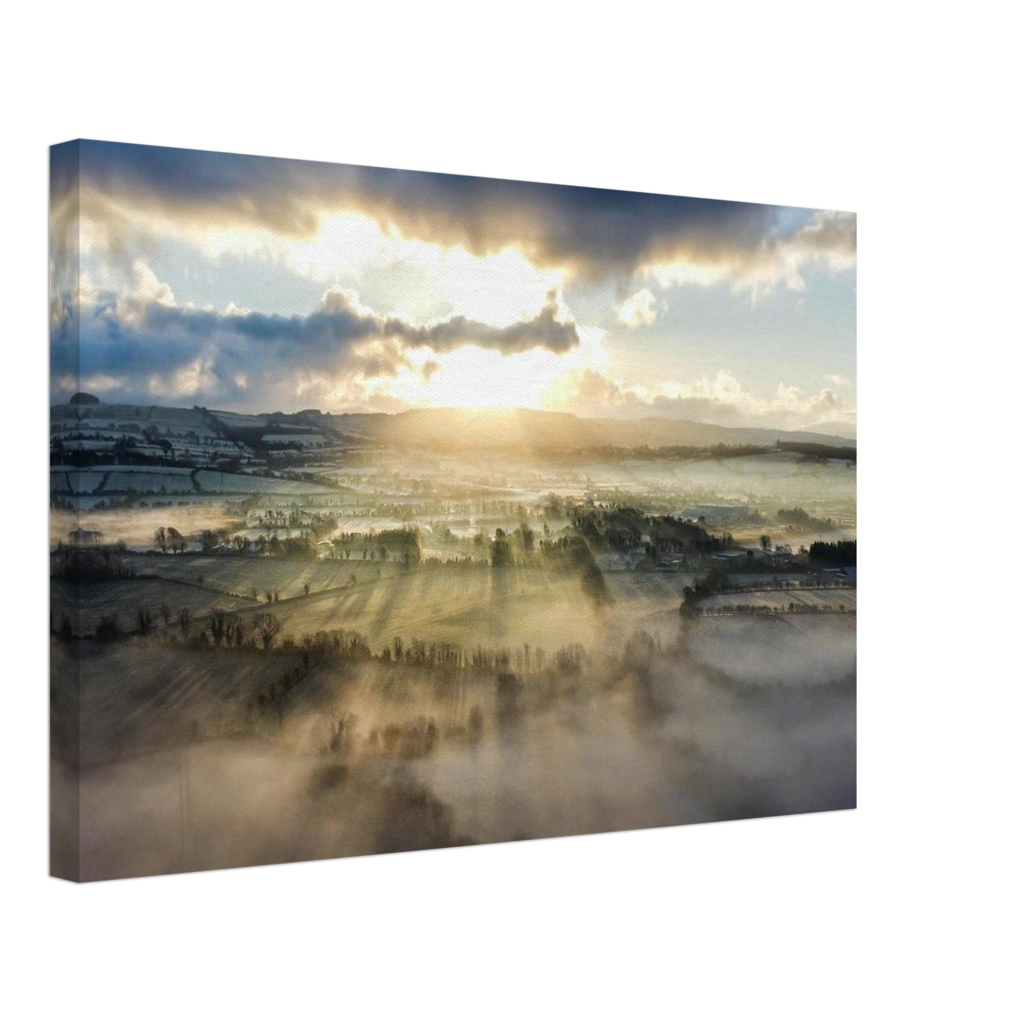 06f422f3-aab3-454f-8bca-e75e7283550c