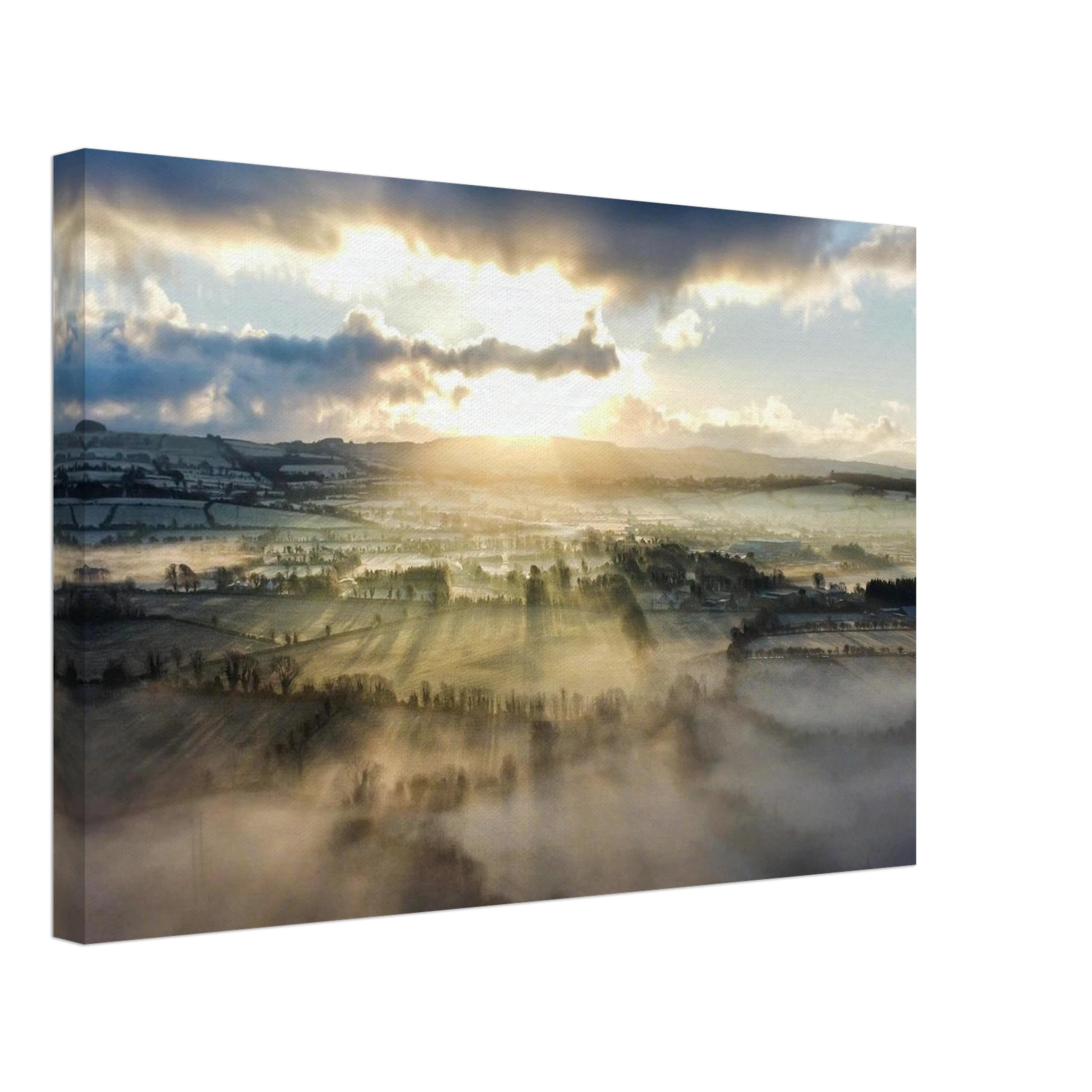 06f422f3-aab3-454f-8bca-e75e7283550c