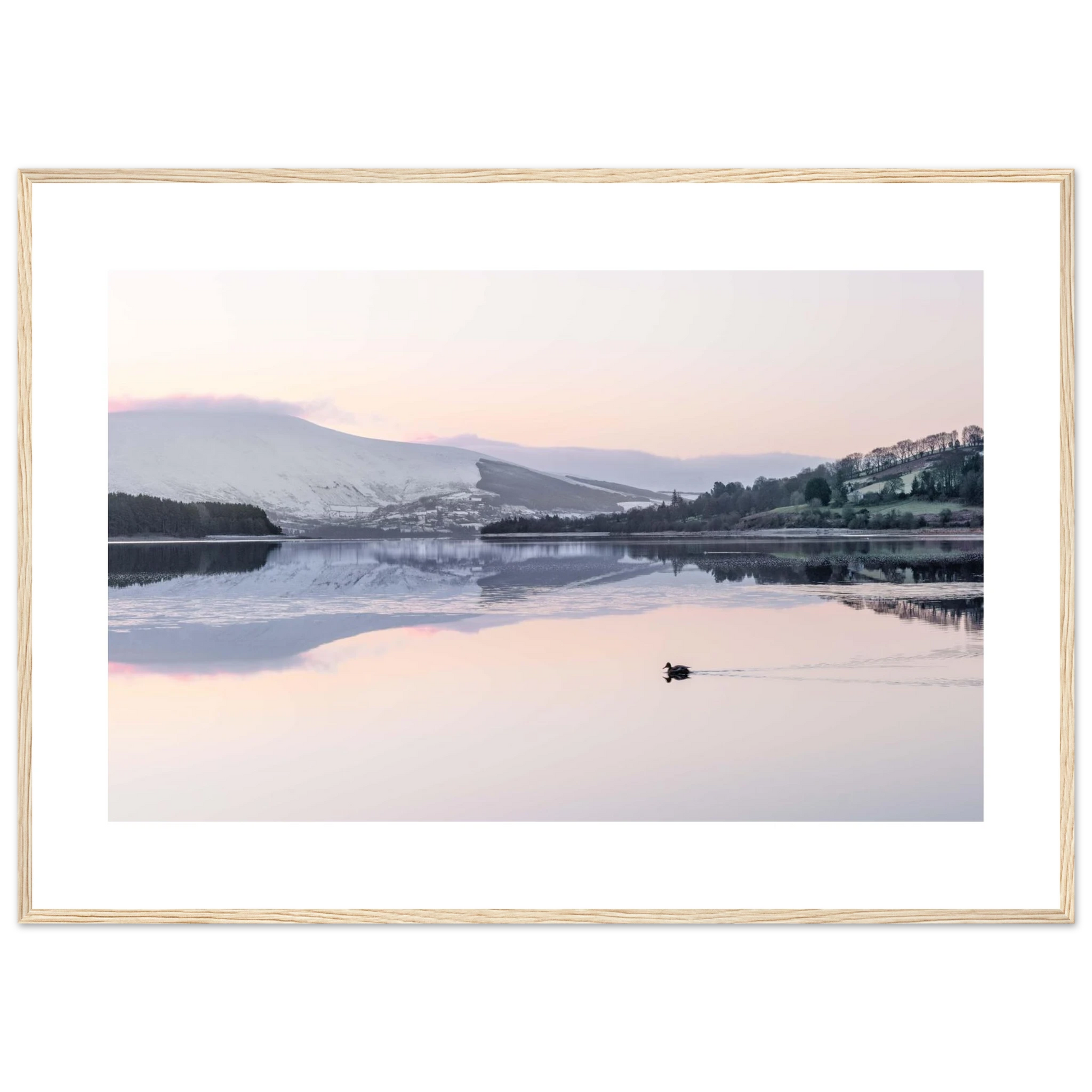 06f86095-65d8-4f2e-b4c6-8990a91c8ca7