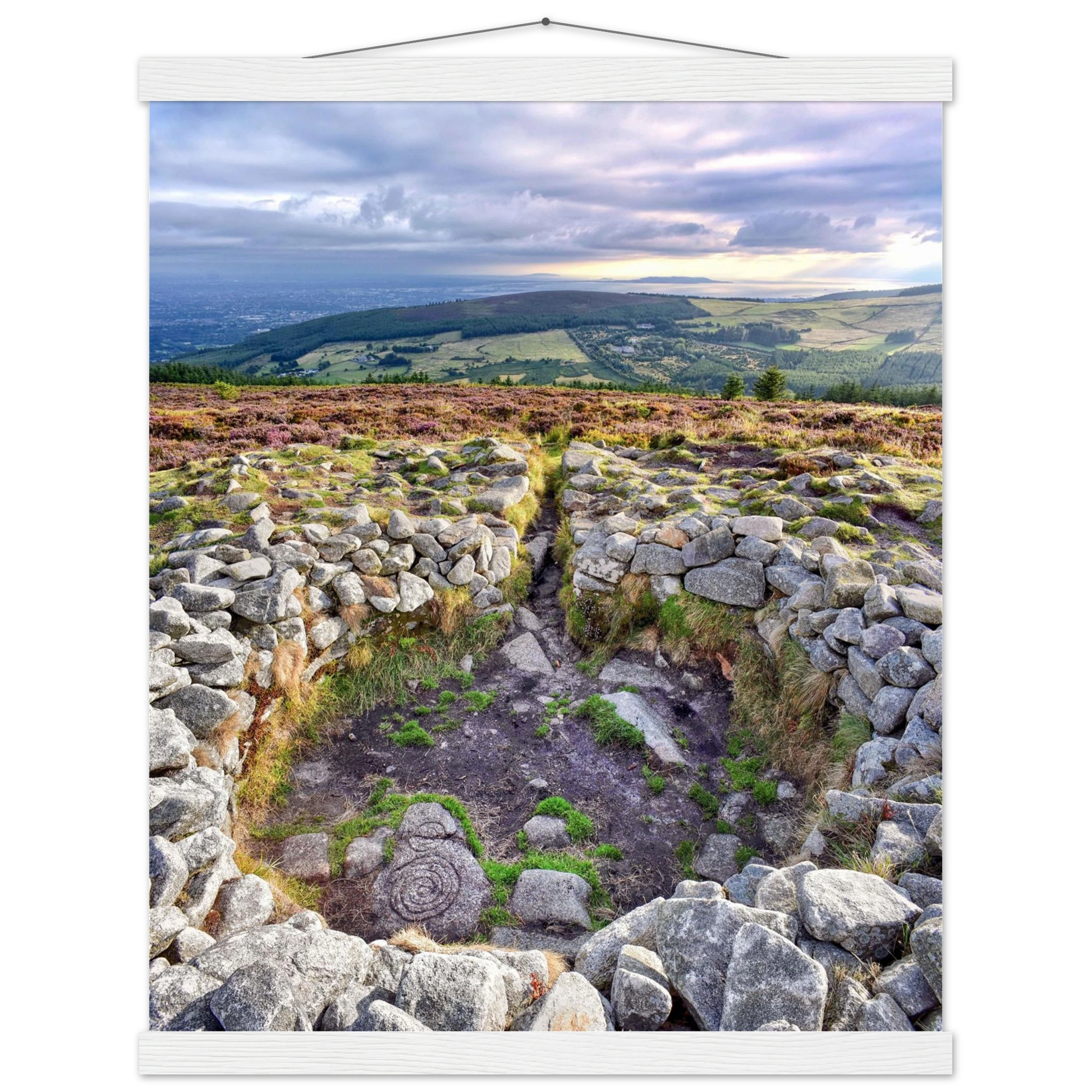 07016c06-c115-4777-a69a-fefe09b875e2