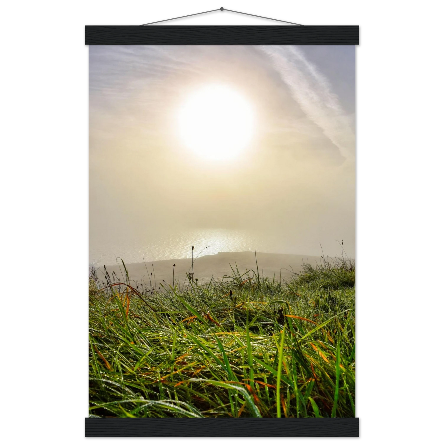 071d70c2-c113-4bd3-997d-8a2c66851311