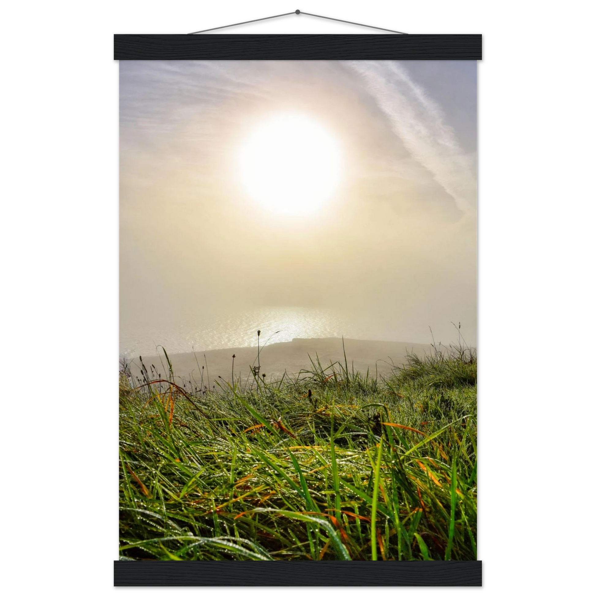 071d70c2-c113-4bd3-997d-8a2c66851311