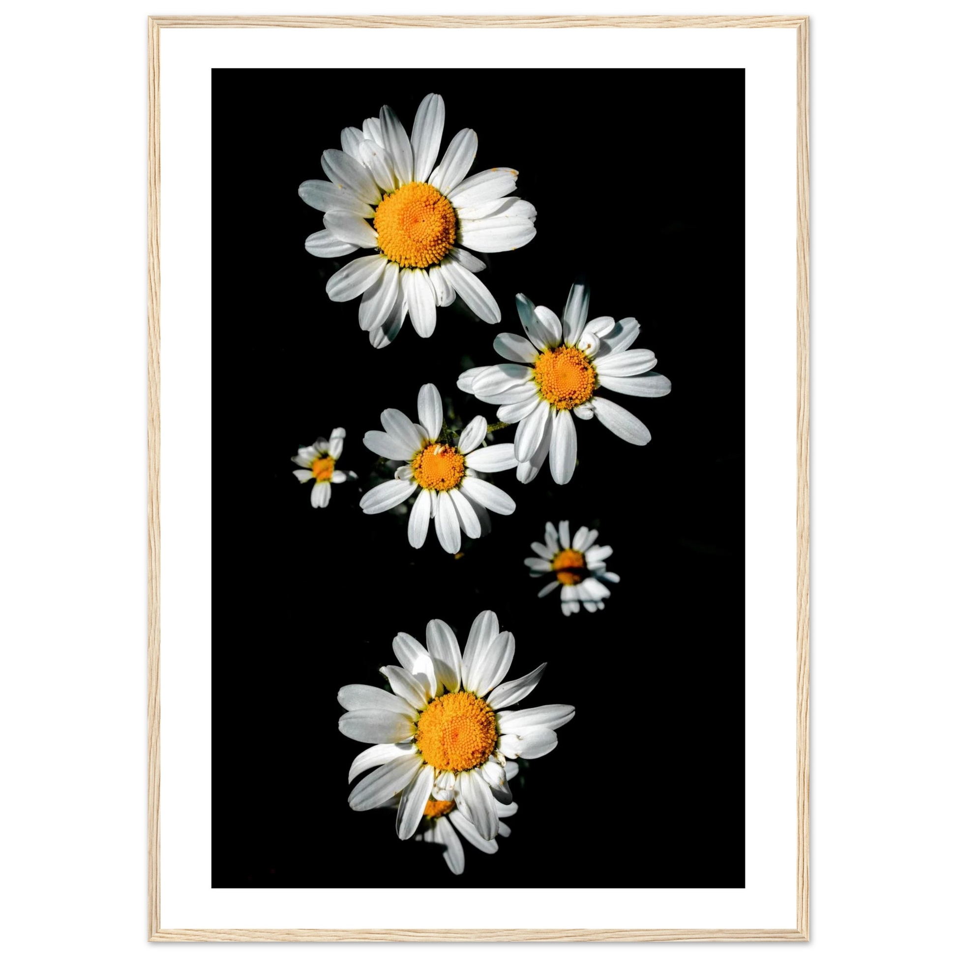 0788c33a-bef9-44d7-9d96-5609900fa8ae