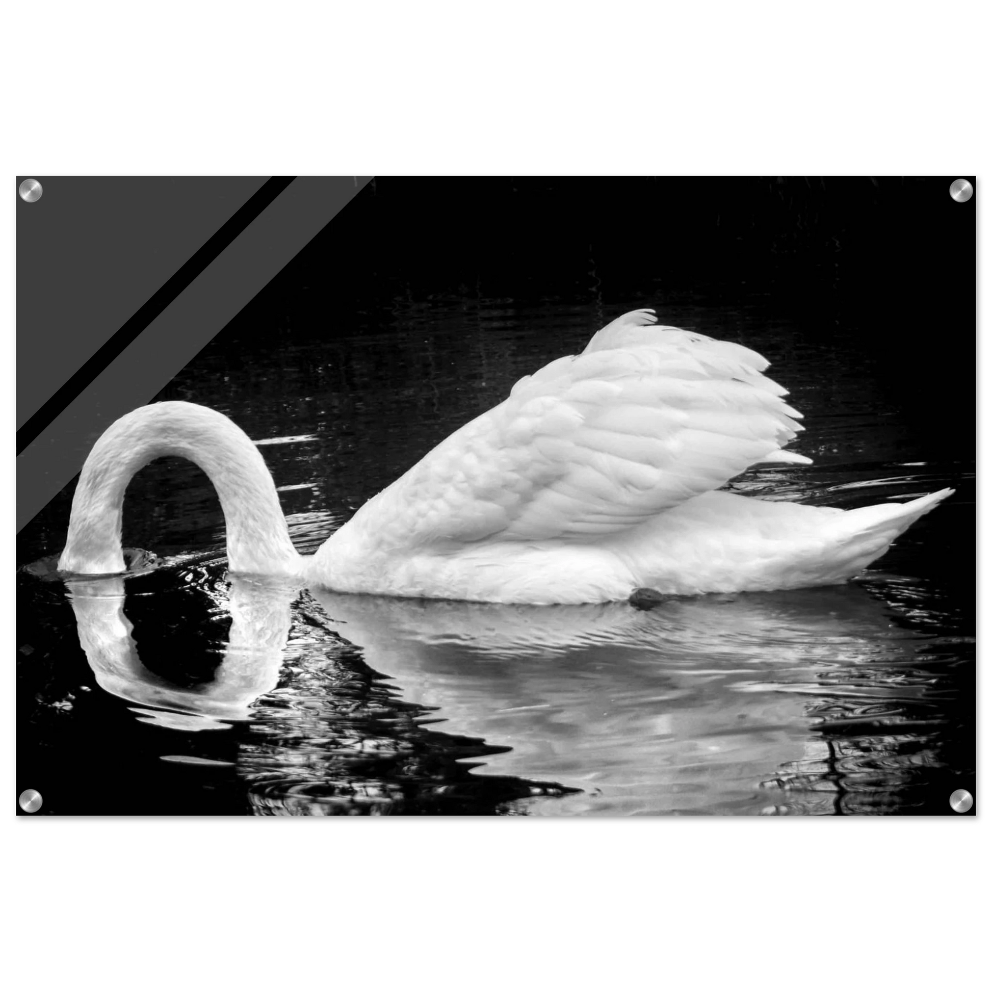 0792ce89-5f3f-4ad9-9078-40afe1b5e20b