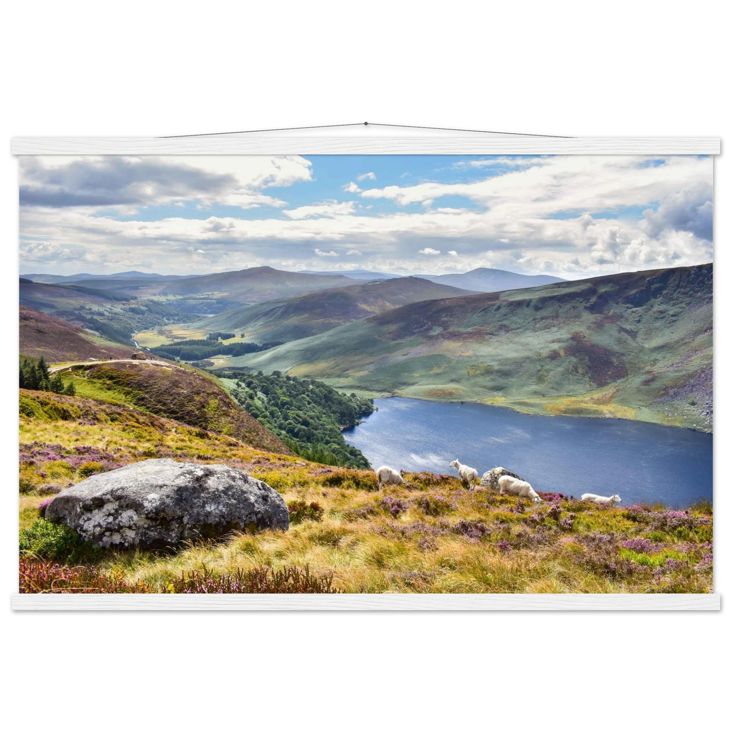 07ef19e6-2812-4665-a4c7-46d2907b6d59