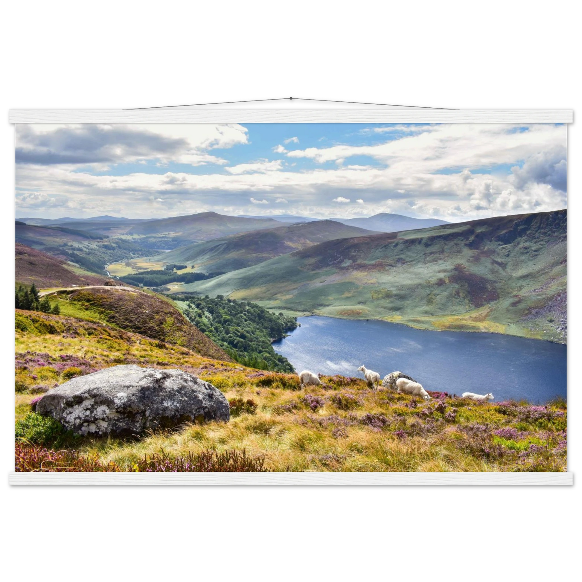 07ef19e6-2812-4665-a4c7-46d2907b6d59