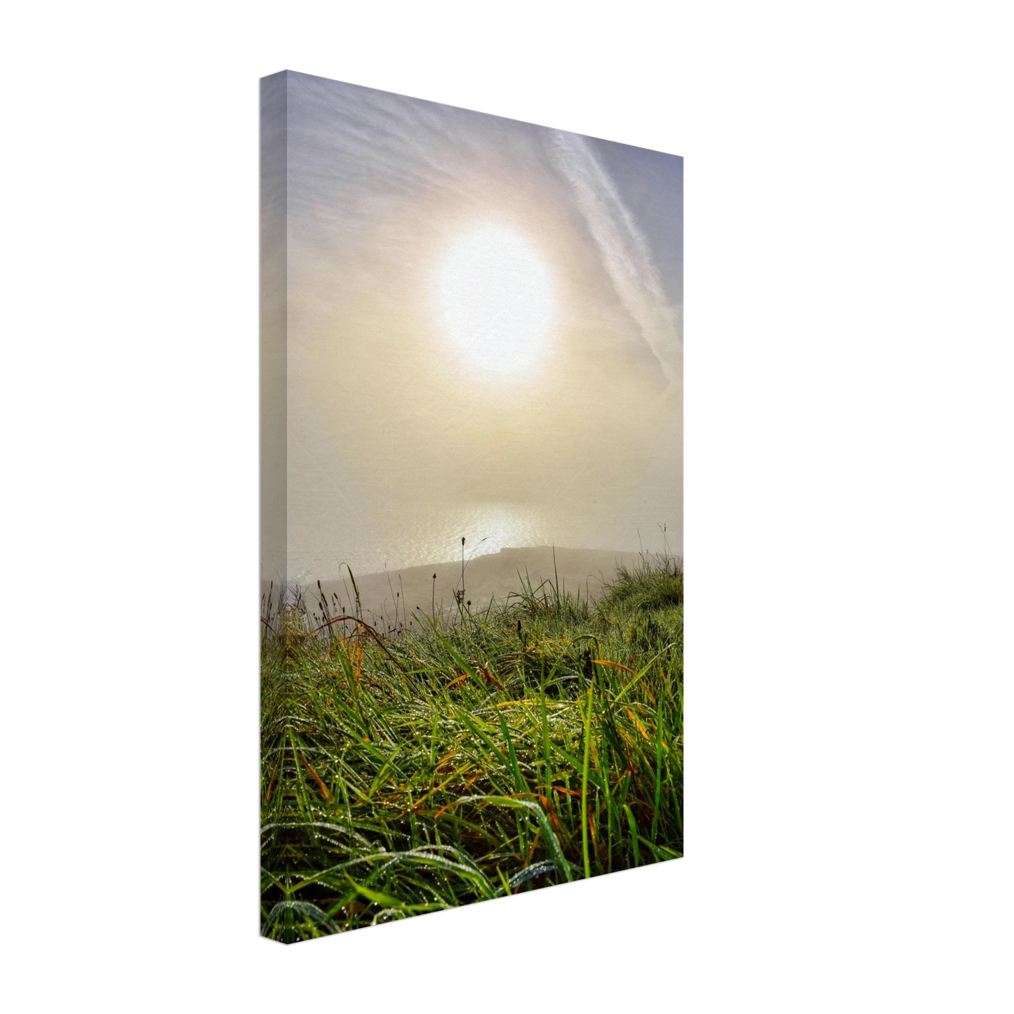 0817db2c-e136-4871-bcf5-d9913dcada9b