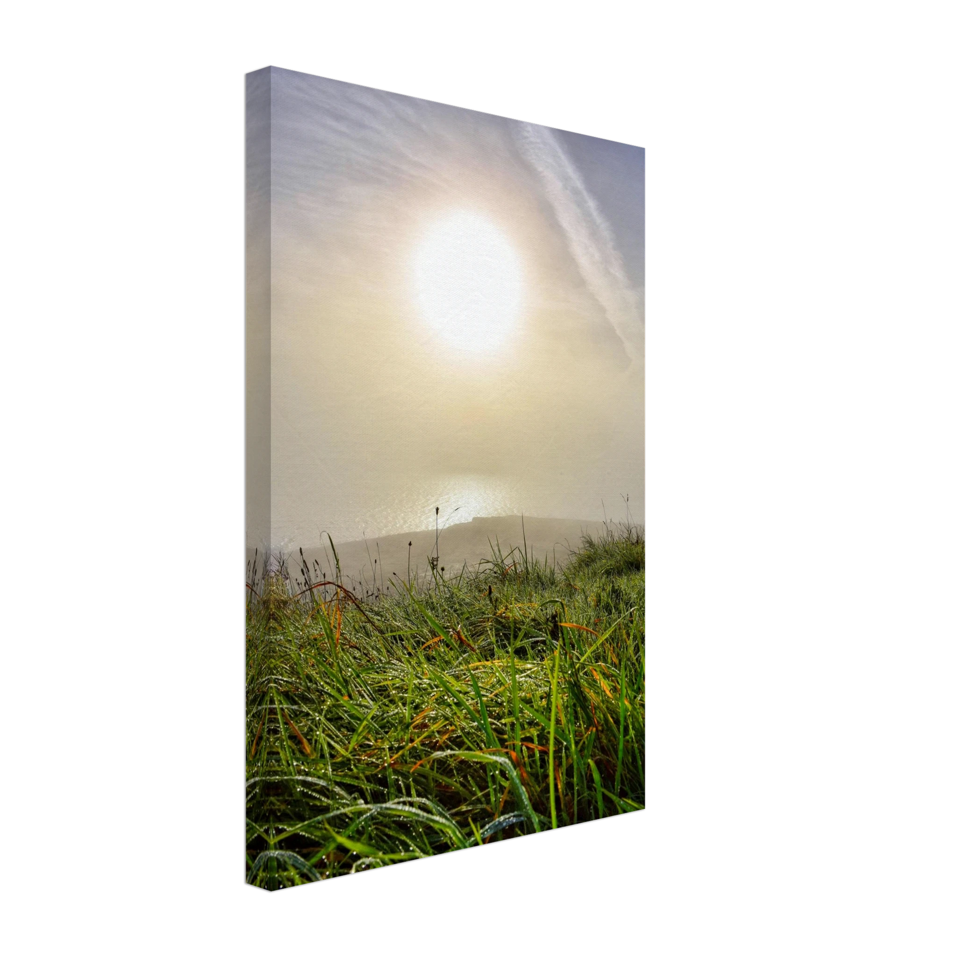 0817db2c-e136-4871-bcf5-d9913dcada9b