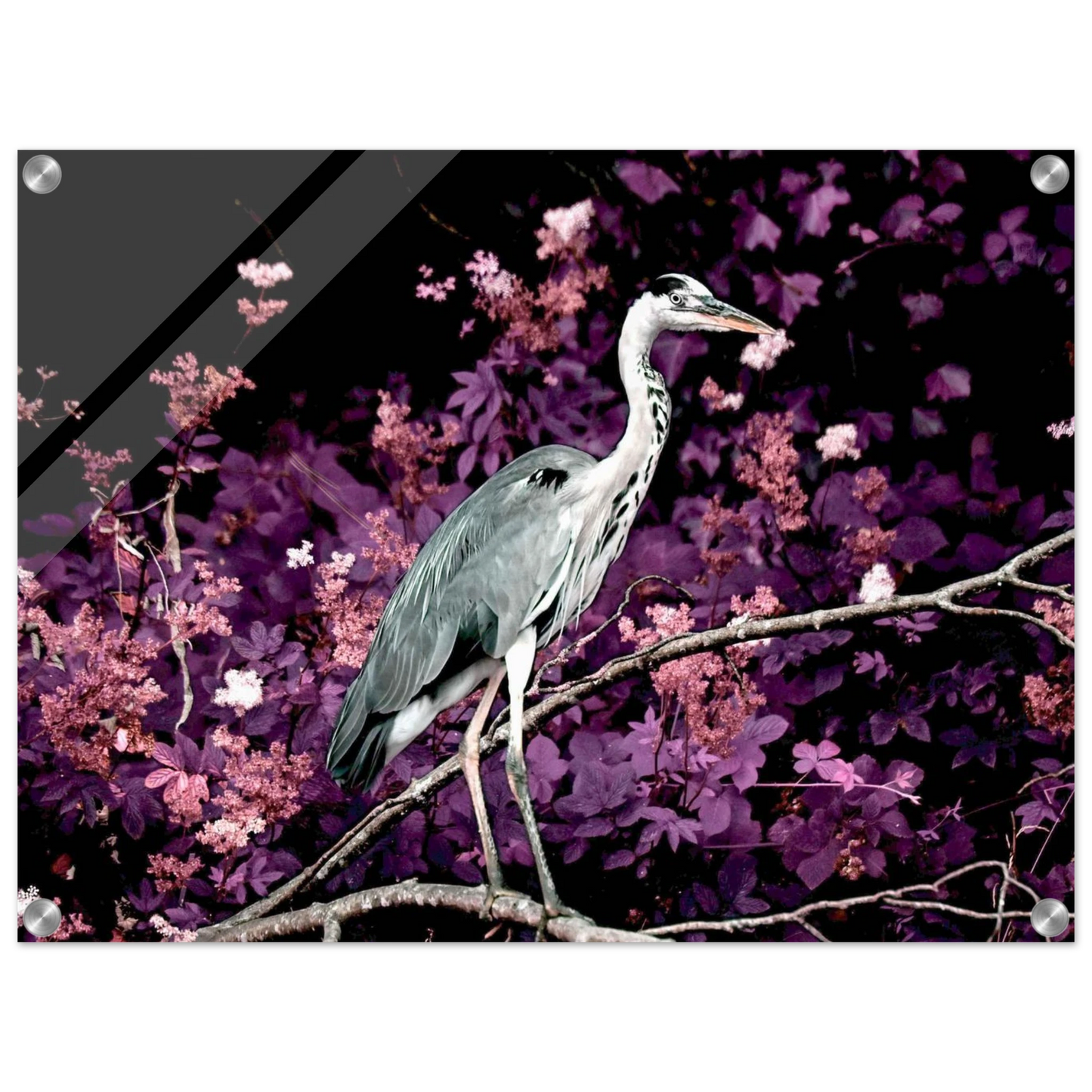 0898fd7f-db13-4ce4-9753-616f35d2cfd1