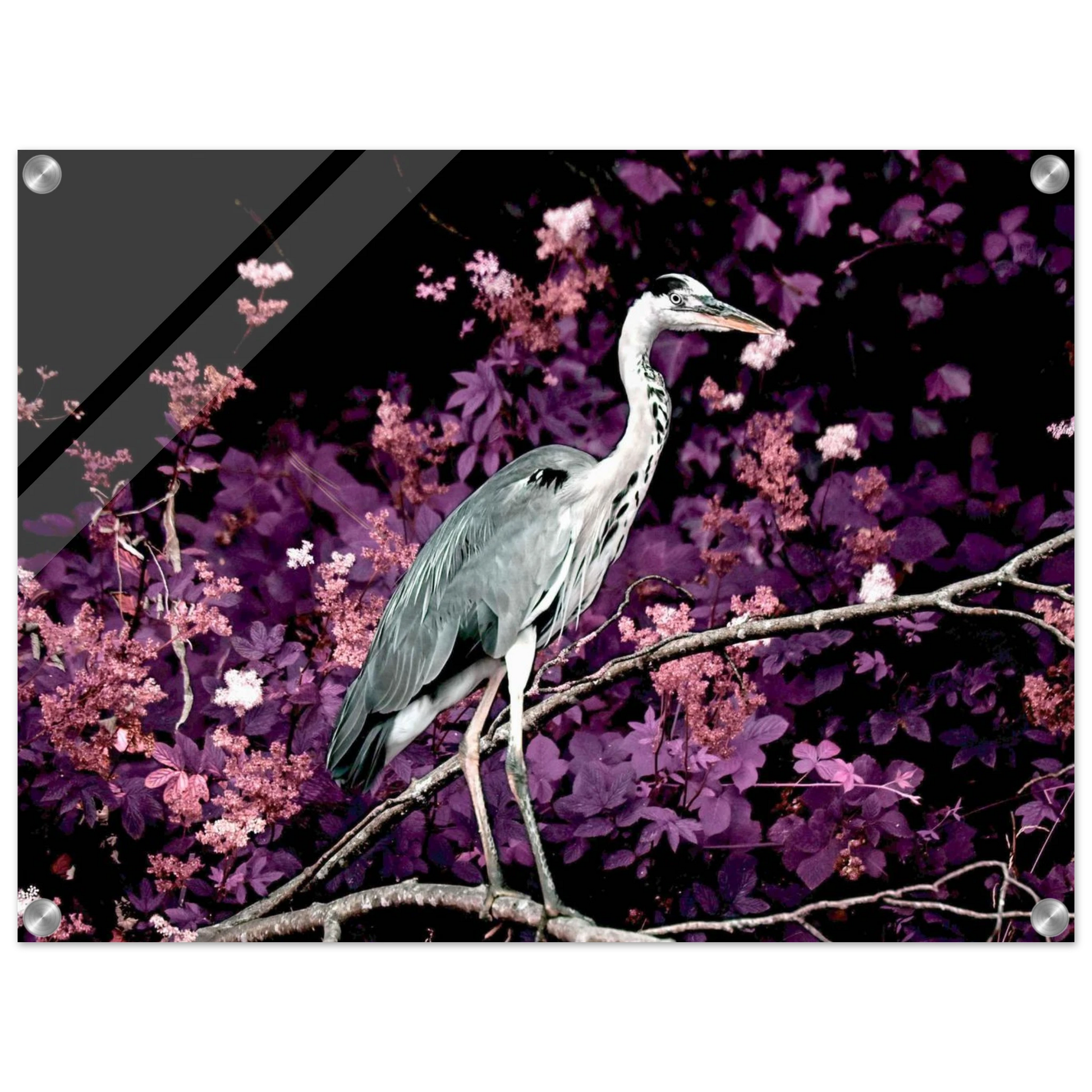 0898fd7f-db13-4ce4-9753-616f35d2cfd1