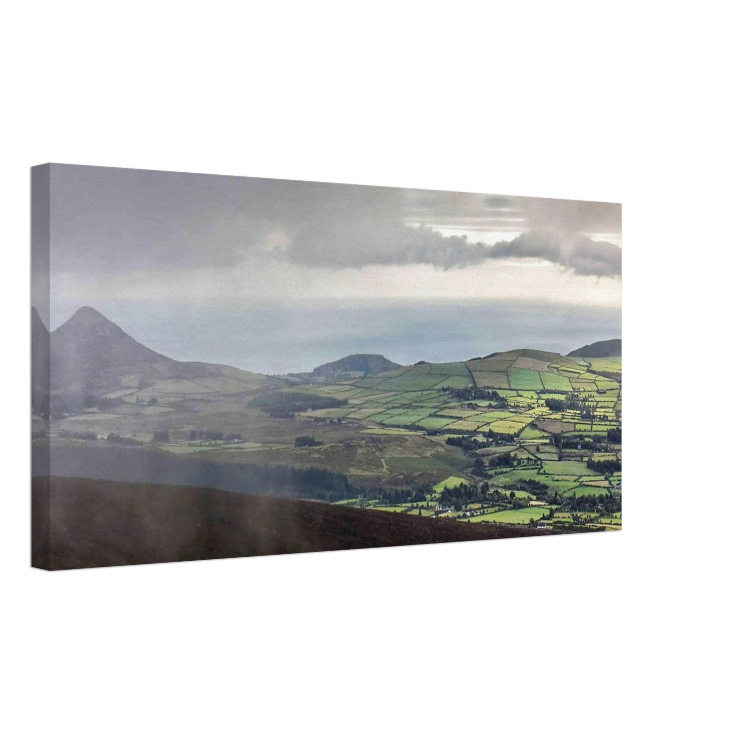 08e3dca5-c49e-4af6-bc6c-1f06ba5b35bc