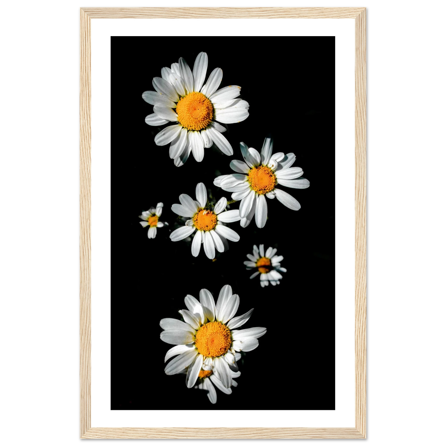 09352f7d-bda9-42b8-9a9e-cb4eda485b81