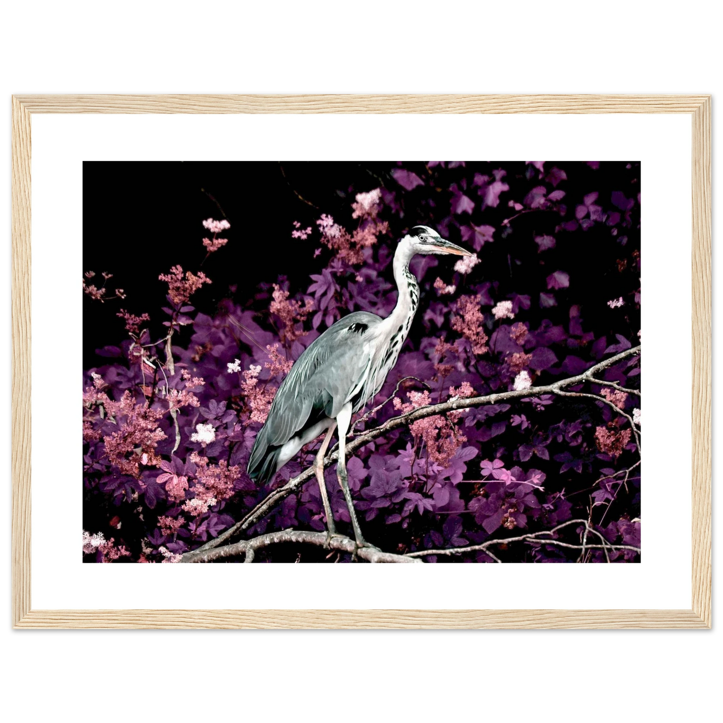 0951abb7-3672-4a59-ba1e-0290c691896f