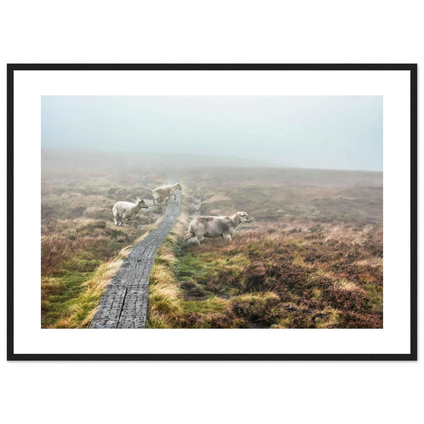 095d20f3-6ff6-4f89-bc70-7ee72dbc3b46