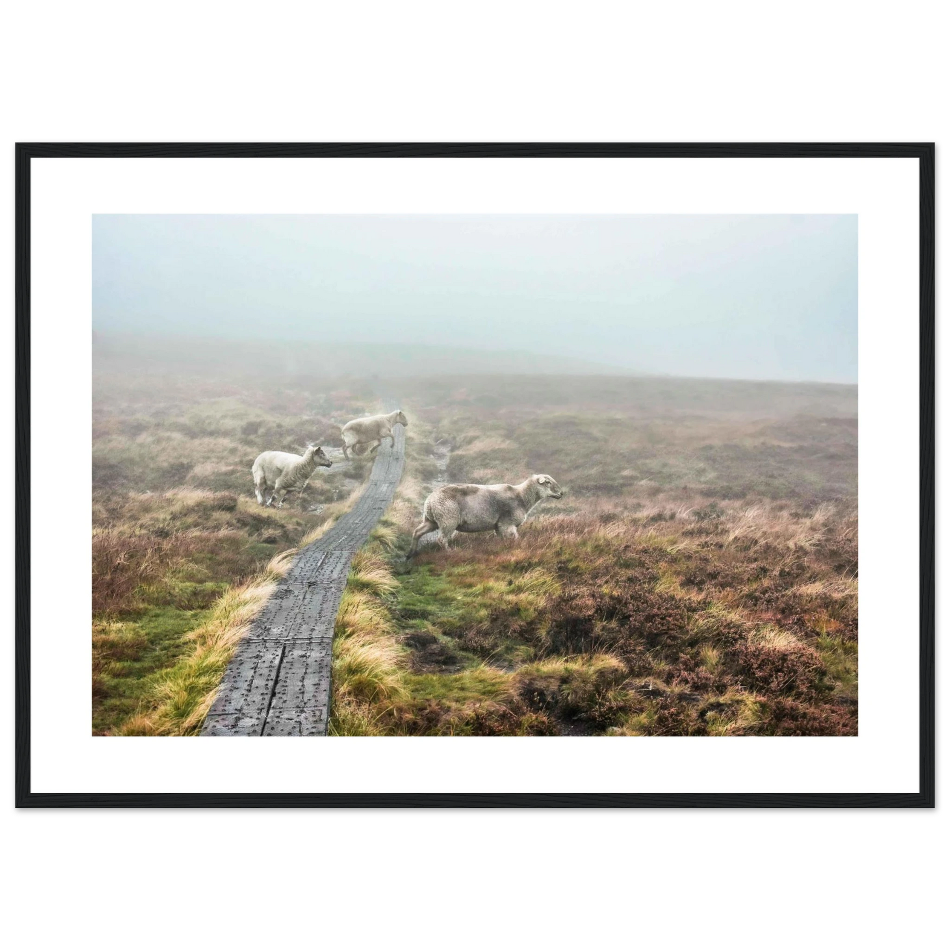 095d20f3-6ff6-4f89-bc70-7ee72dbc3b46