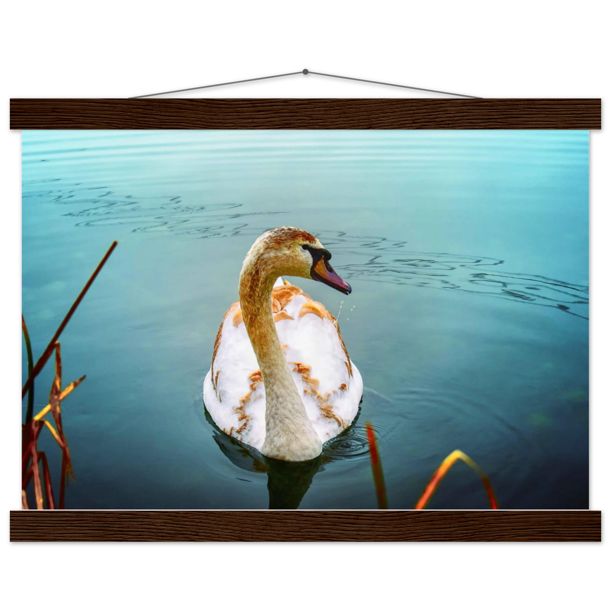 095deca6-60c0-4a4f-aa8d-7145c6d2db21