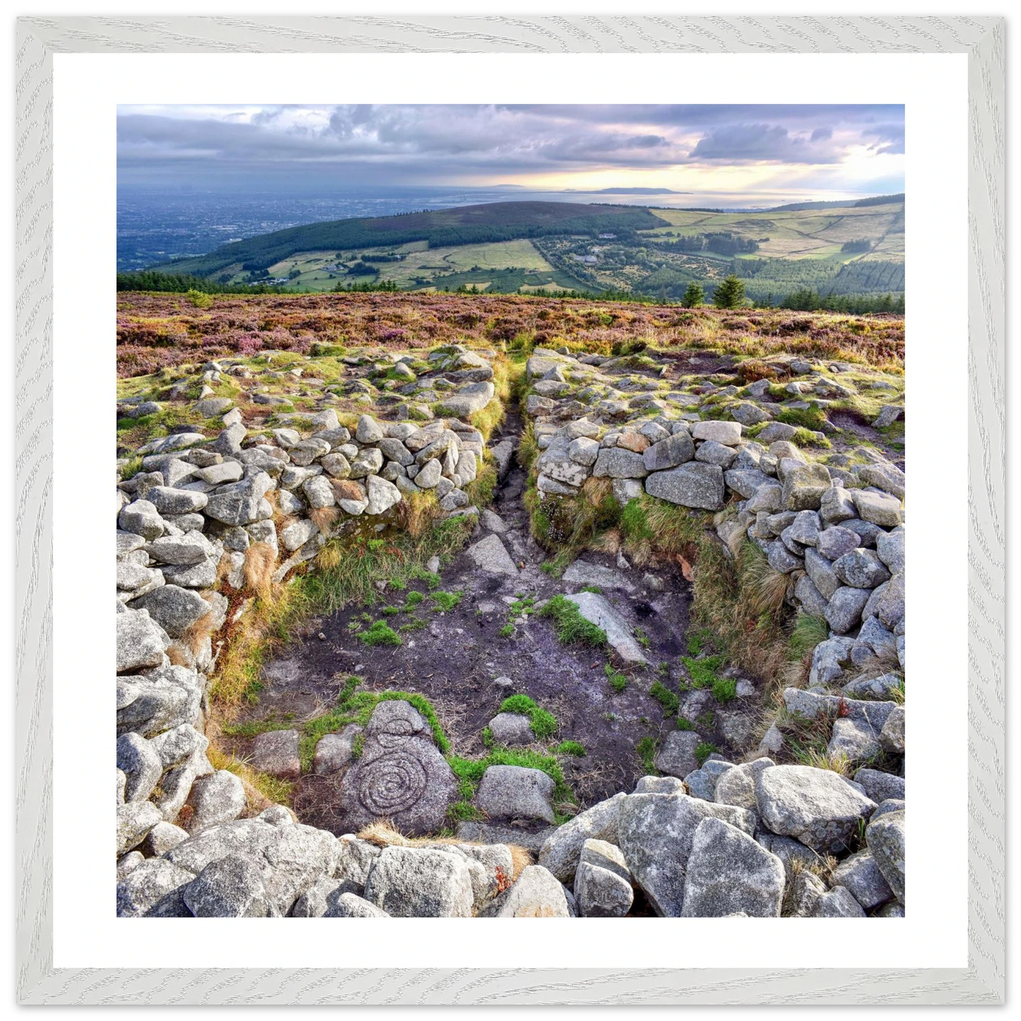 0977082f-8e2d-49b7-8aed-c9afaf2a355b