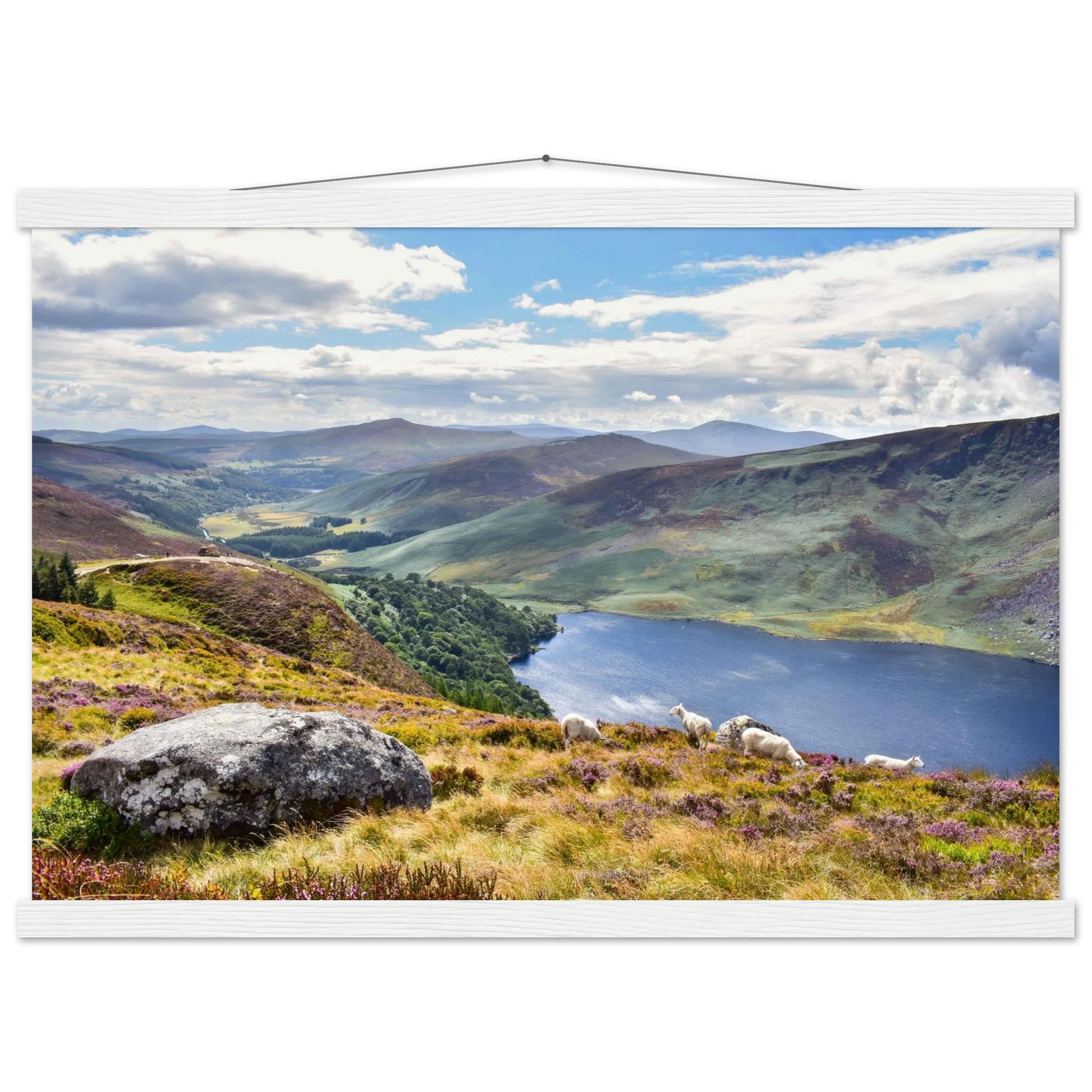 099a5aa5-2c7e-402d-840d-e5666fde2aff