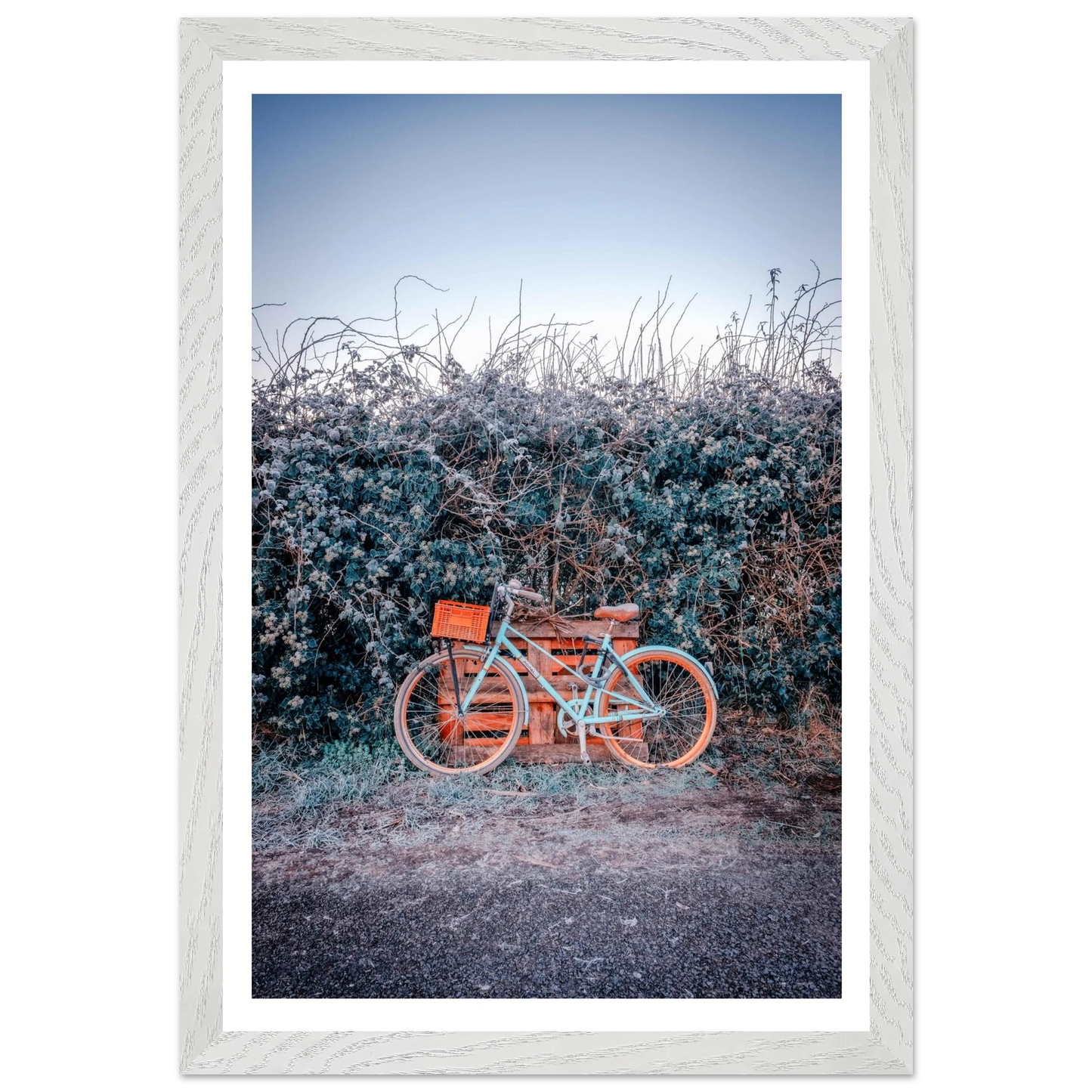 09c4fc26-feb3-4890-839a-b74fa5d30448