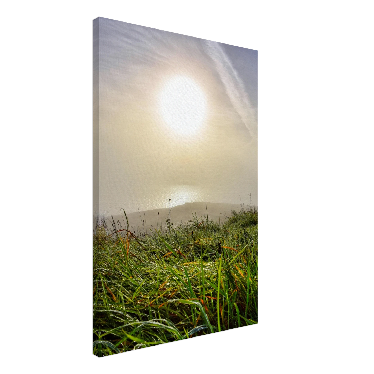 0a2cea12-31fb-416f-9368-aa3f29d6187c