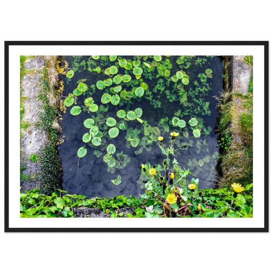 0a2e86ac-d3c6-40f3-af38-f866dcbfc7ba