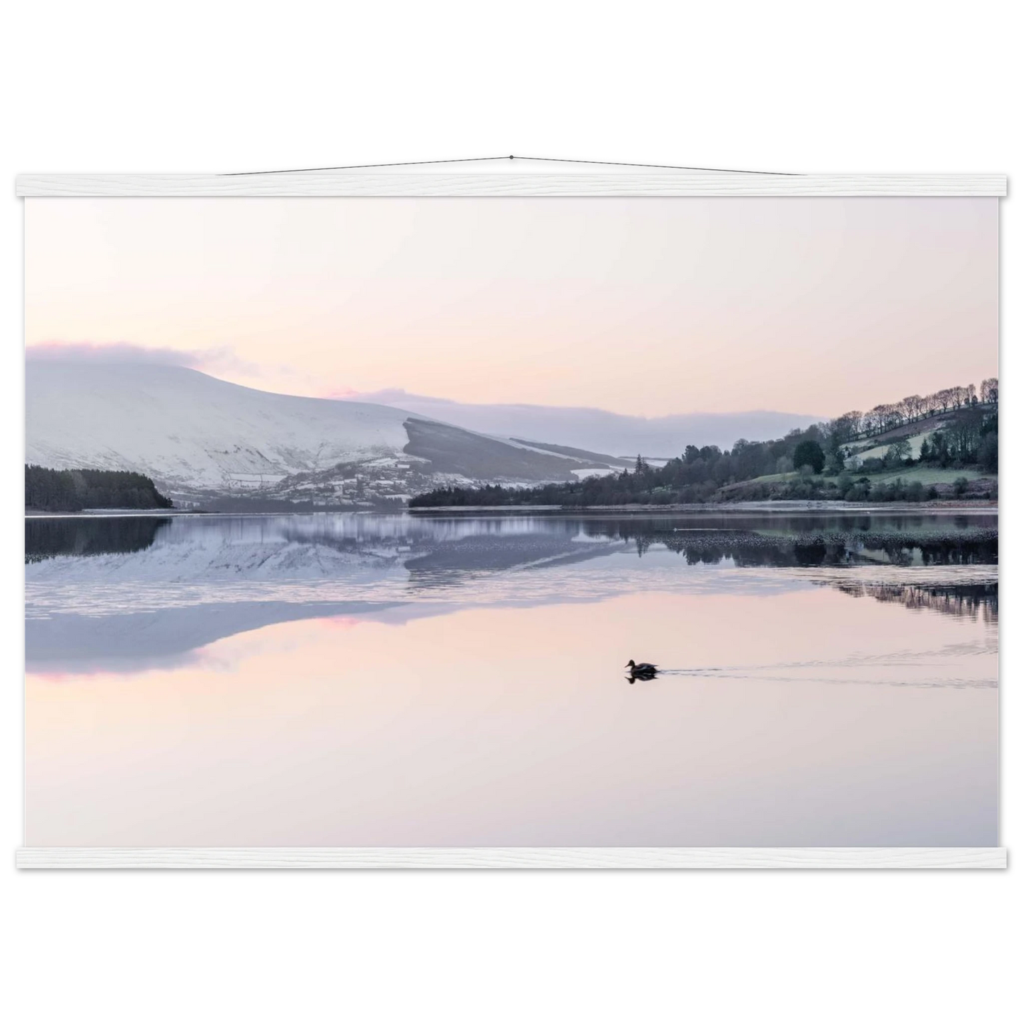 0a37f3e5-4402-4e8e-98af-6644c66d4eef