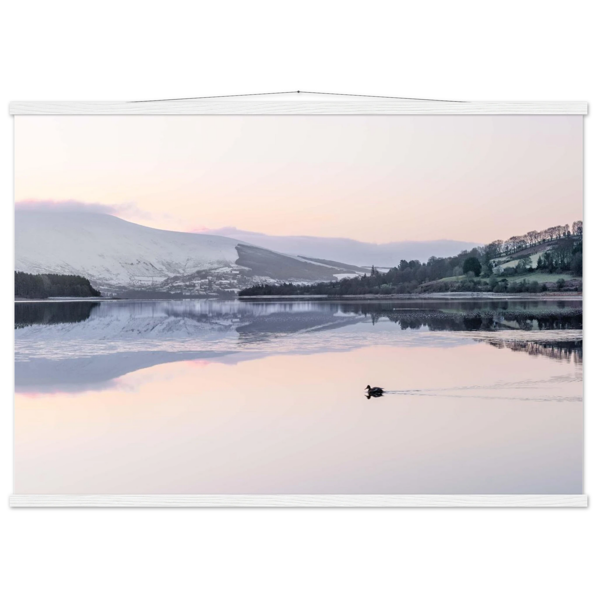 0a37f3e5-4402-4e8e-98af-6644c66d4eef