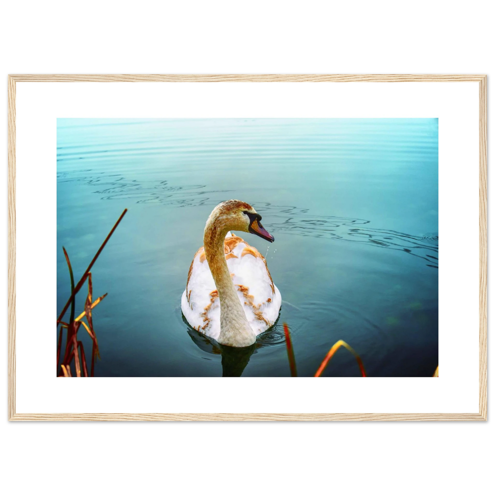 0b559c6c-ef71-4fa9-af6f-5eacad1ae59f