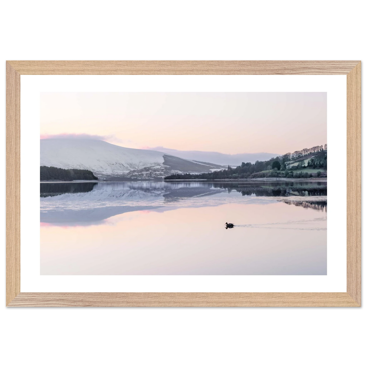 0c5026fd-d3fe-416d-9d28-f85d5bc830a3