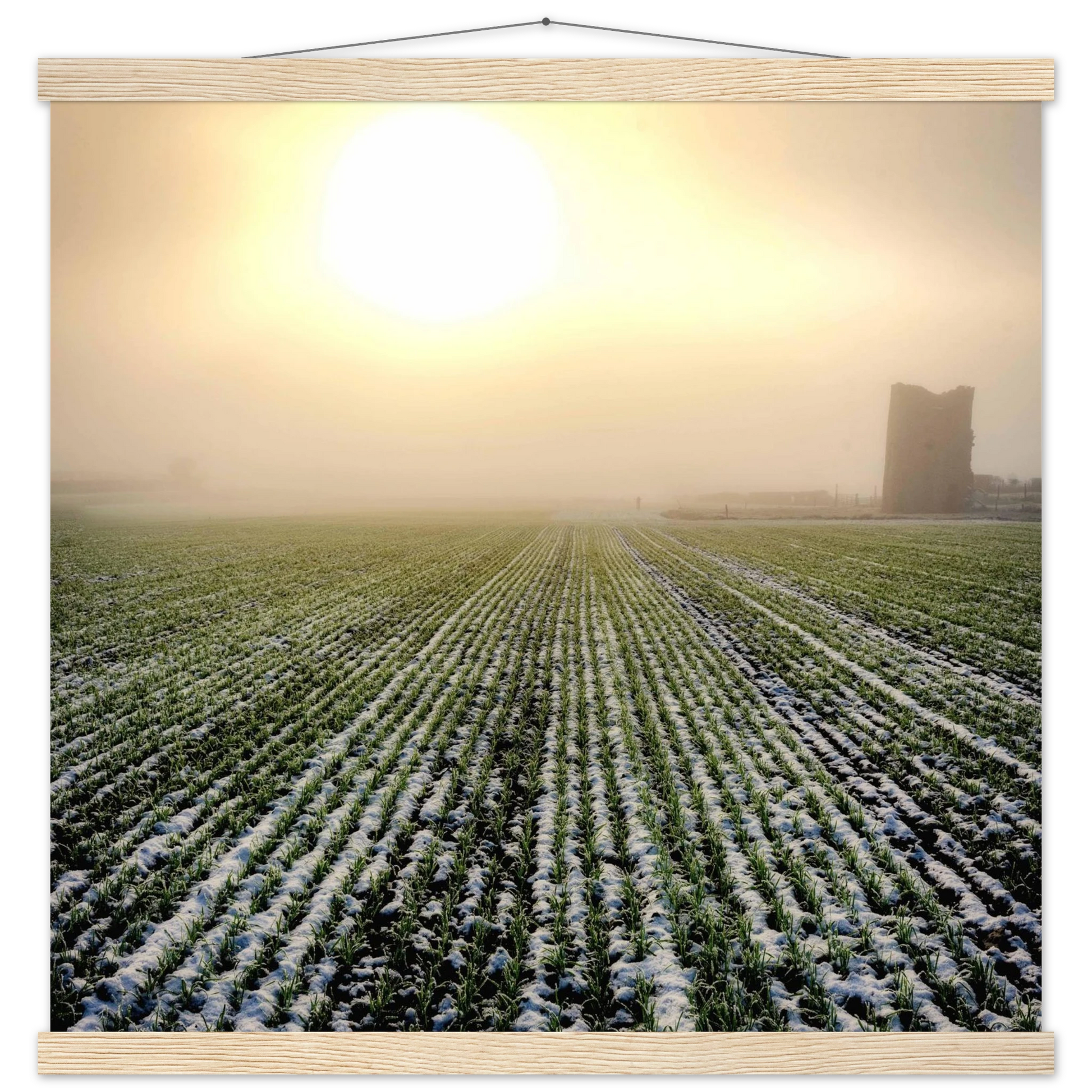 0cb35bc3-2e3d-4439-b5d3-01f9b2610093